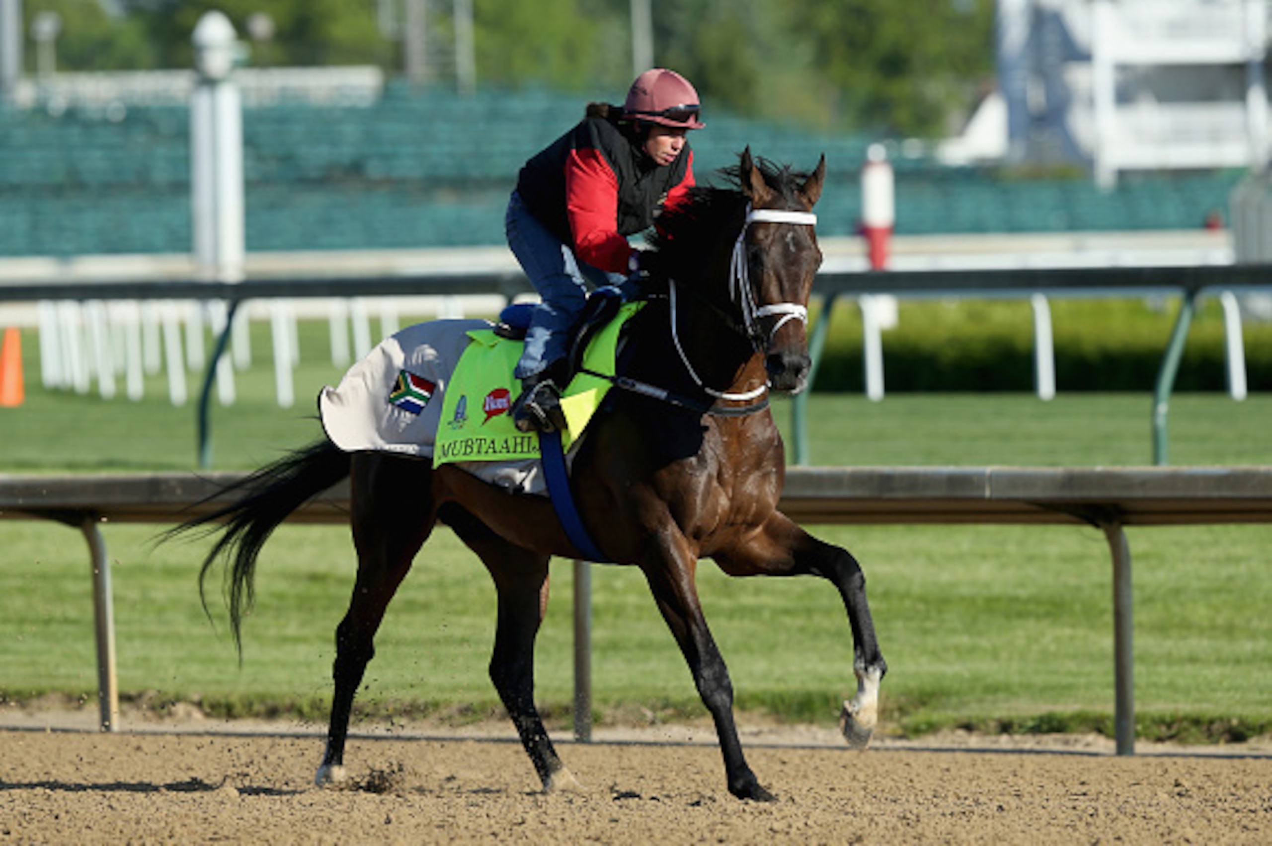 LOUISVILLE, KY - APRIL 28: Mubtaahij runs on the track during the morning training for the Kentucky Derby at Churchill Downs on April 28, 2015 in Louisville, Kentucky.  (Photo by Andy Lyons/Getty Images)