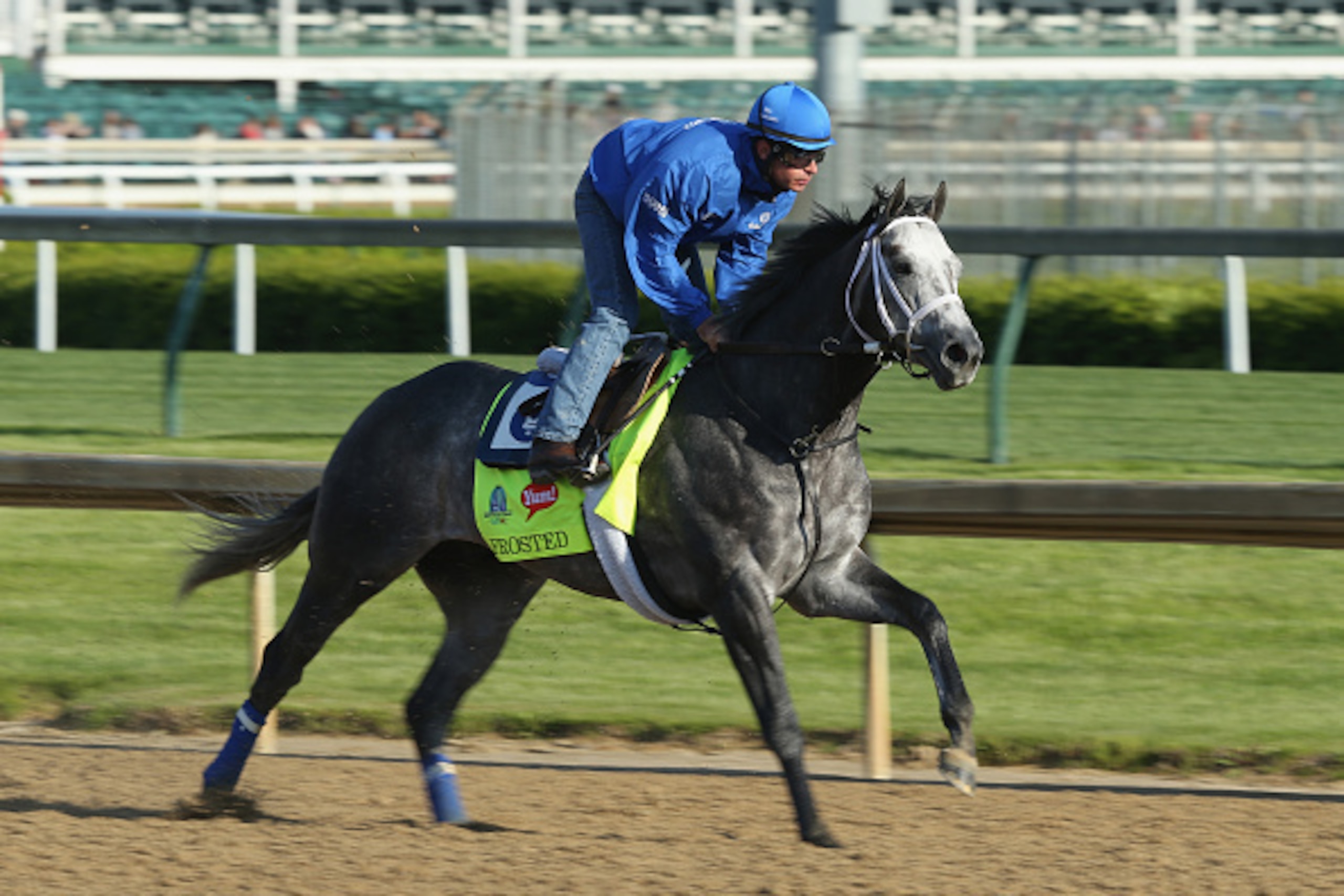 LOUISVILLE, KY - APRIL 29: Frosted runs on the track during the morning training for the kentucky Derby at Churchill Downs on April 29, 2015 in Louisville, Kentucky.  (Photo by Andy Lyons/Getty Images)