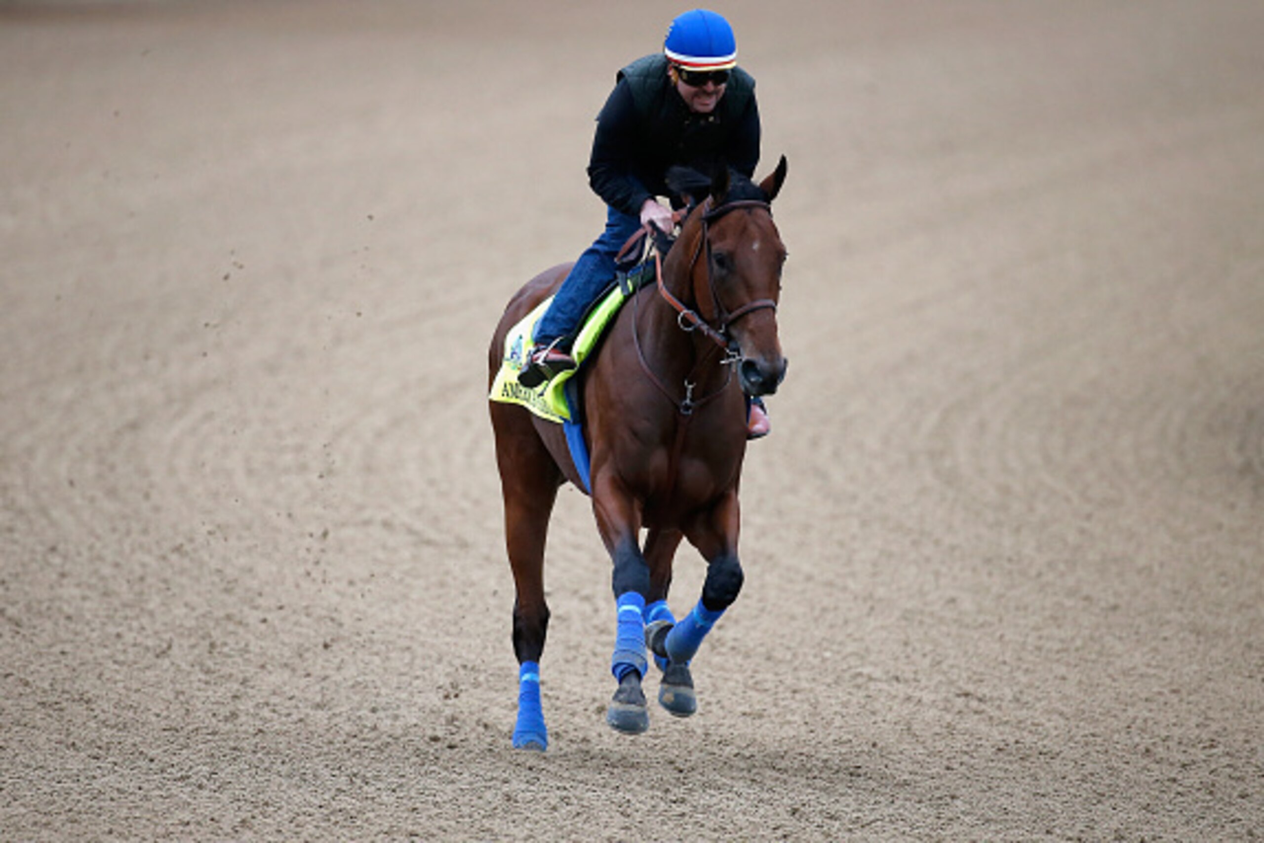 LOUISVILLE, KY - APRIL 30:  American Pharoah goes over the track during morning training for the Kentucky Derby at Churchill Downs on April 30, 2015 in Louisville, Kentucky.  (Photo by Rob Carr/Getty Images)