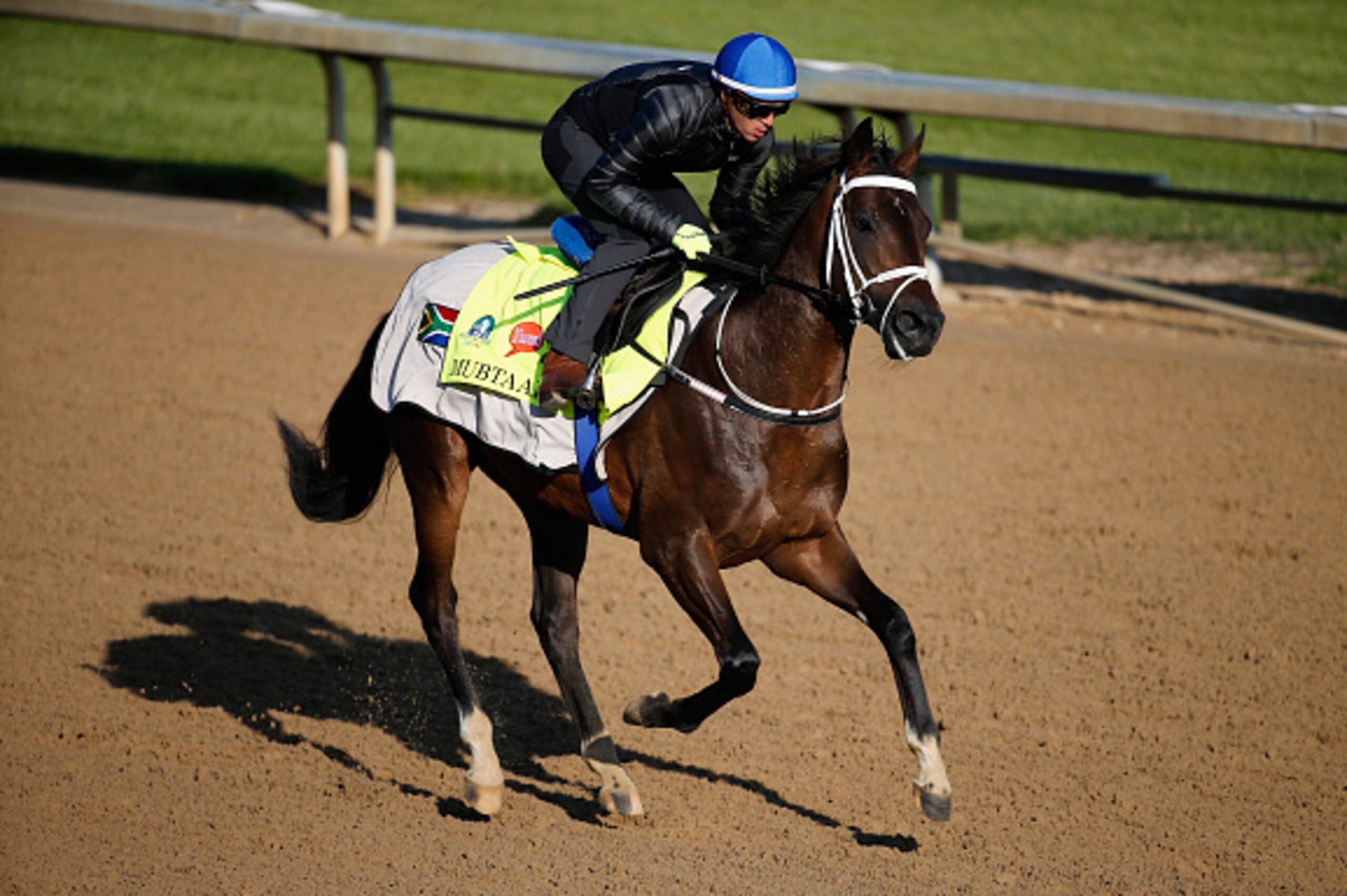 LOUISVILLE, KY - APRIL 29: Mubtaahij during morning training for the Kentucky Derby at Churchill Downs on April 29, 2015 in Louisville, Kentucky.  (Photo by Rob Carr/Getty Images)