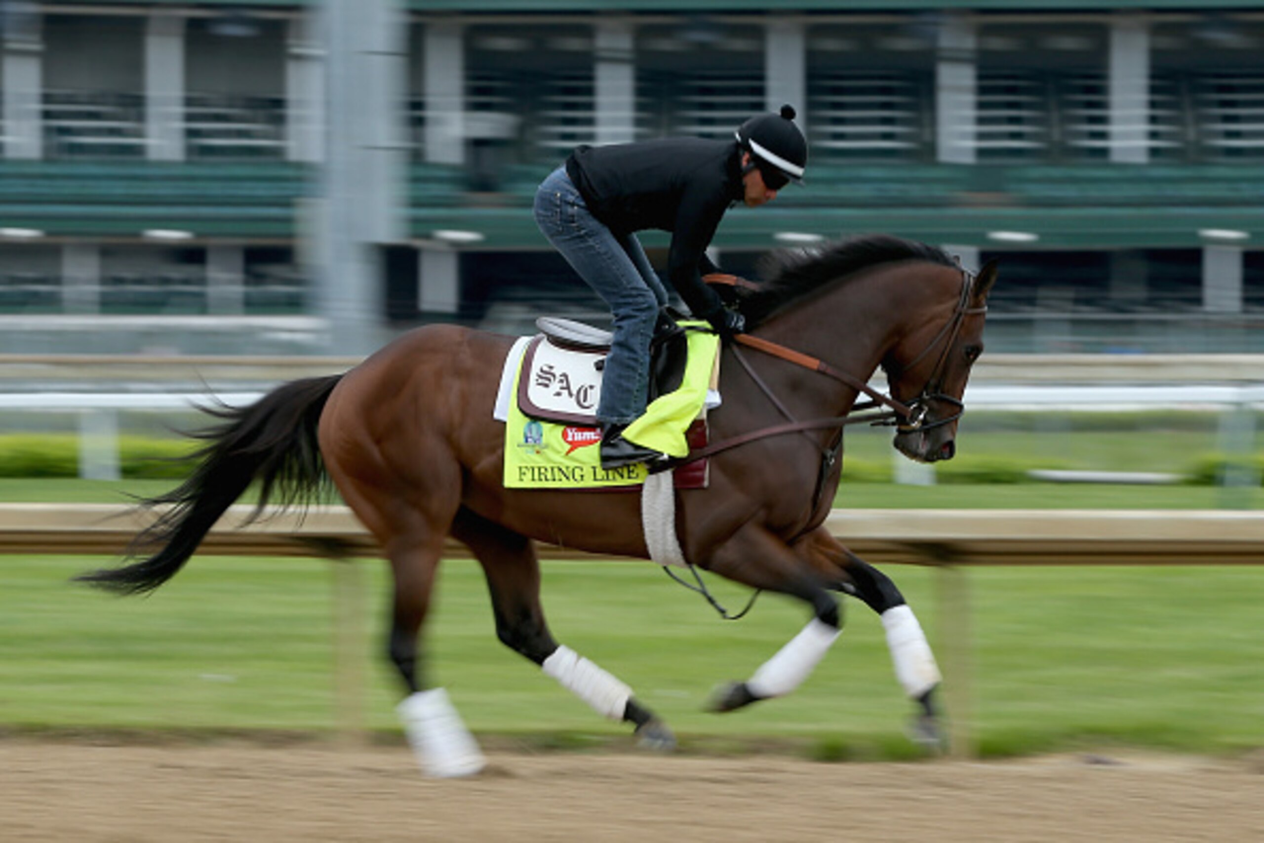 LOUISVILLE, KY - APRIL 30:  Firing Line runs on the track during the morning training for the Kentucky Derby at Churchill Downs on April 30, 2015 in Louisville, Kentucky.  (Photo by Andy Lyons/Getty Images)