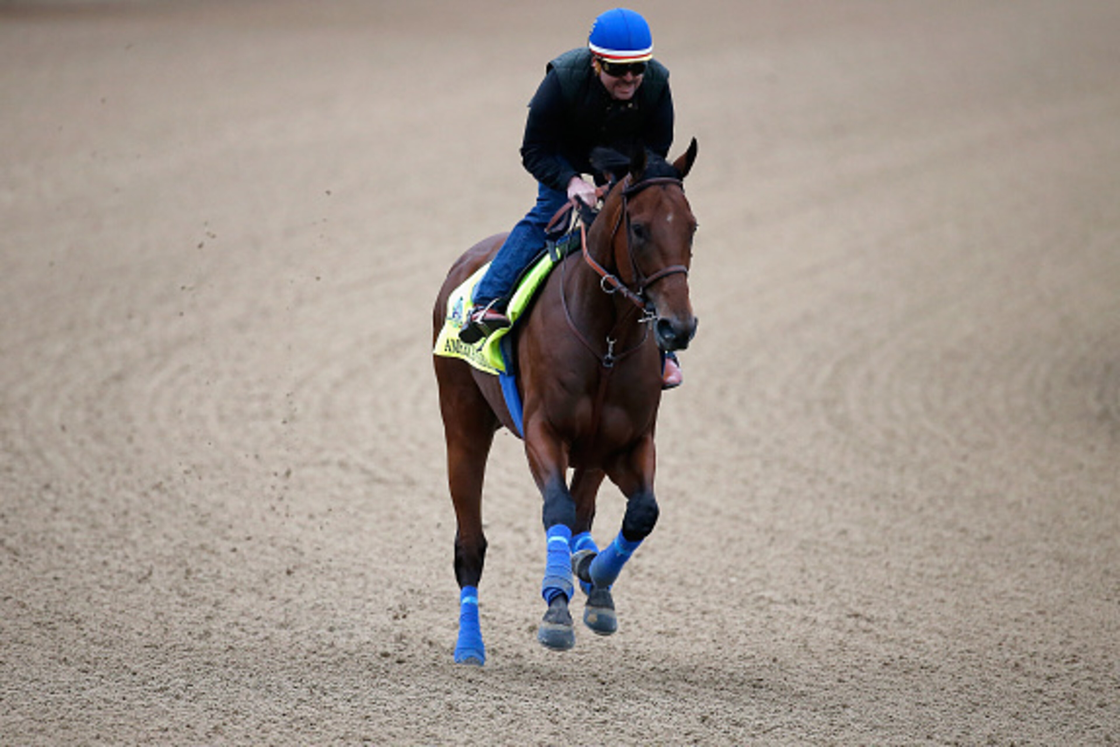 LOUISVILLE, KY - APRIL 30:  American Pharoah goes over the track during morning training for the Kentucky Derby at Churchill Downs on April 30, 2015 in Louisville, Kentucky.  (Photo by Rob Carr/Getty Images)