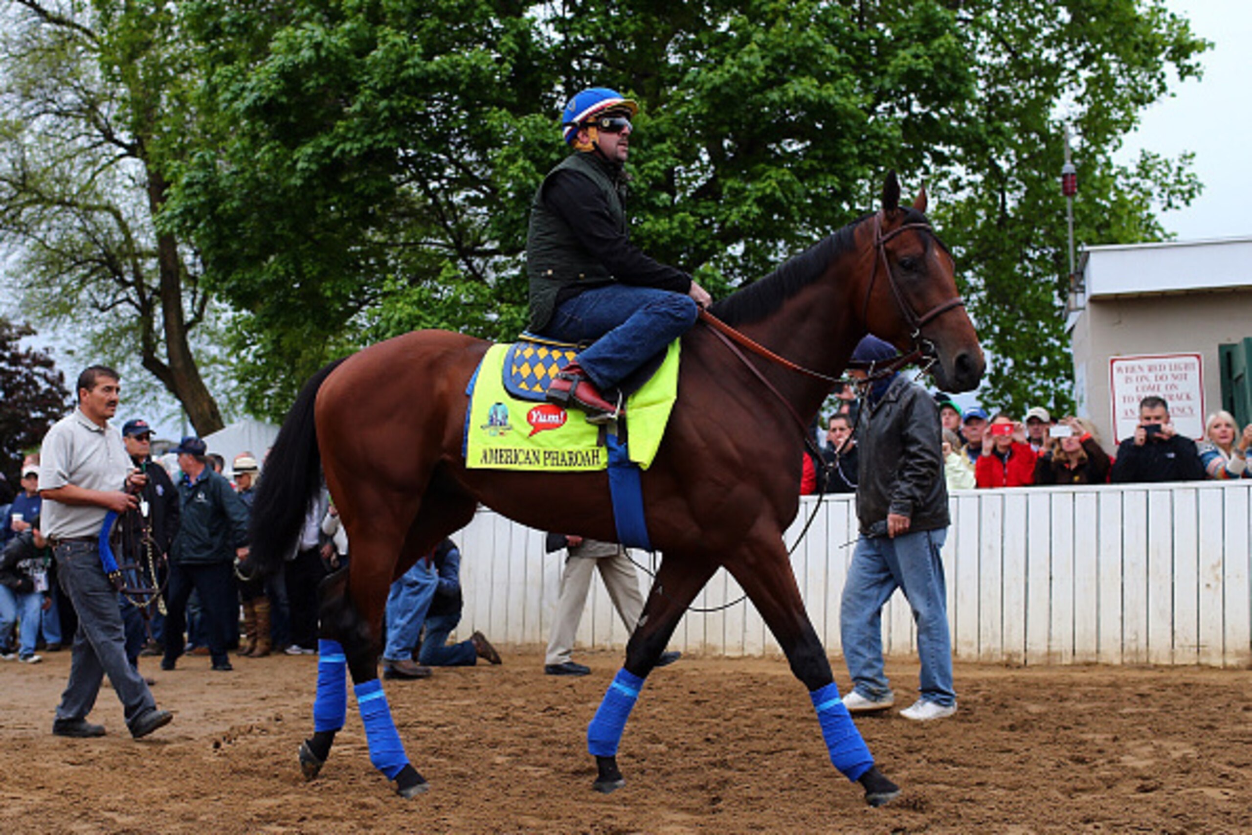 LOUISVILLE, KY - APRIL 30: American Pharoah heads out to the track for morning workouts for the Kentucky Derby at Churchill Downs on April 30, 2015 in Louisville, Kentucky. (Photo by Elsa/Getty Images) LOUISVILLE, KY - APRIL 30: American Pharoah heads out to the track for morning workouts for the Kentucky Derby at Churchill Downs on April 30, 2015 in Louisville, Kentucky. (Photo by Elsa/Getty Images)