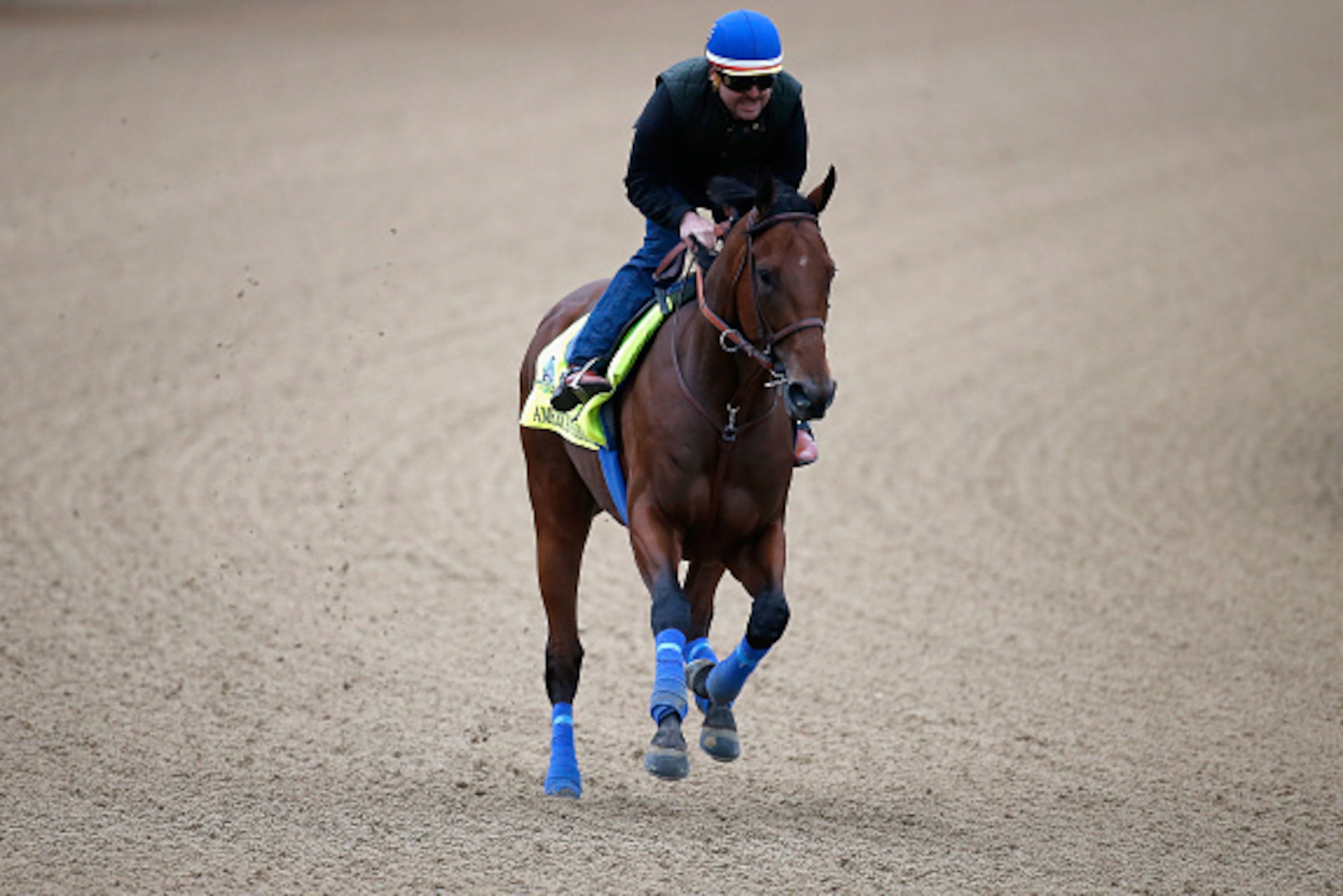 LOUISVILLE, KY - APRIL 30: American Pharoah goes over the track during morning training for the Kentucky Derby at Churchill Downs on April 30, 2015 in Louisville, Kentucky. (Photo by Rob Carr/Getty Images) LOUISVILLE, KY - APRIL 30: American Pharoah goes over the track during morning training for the Kentucky Derby at Churchill Downs on April 30, 2015 in Louisville, Kentucky. (Photo by Rob Carr/Getty Images)