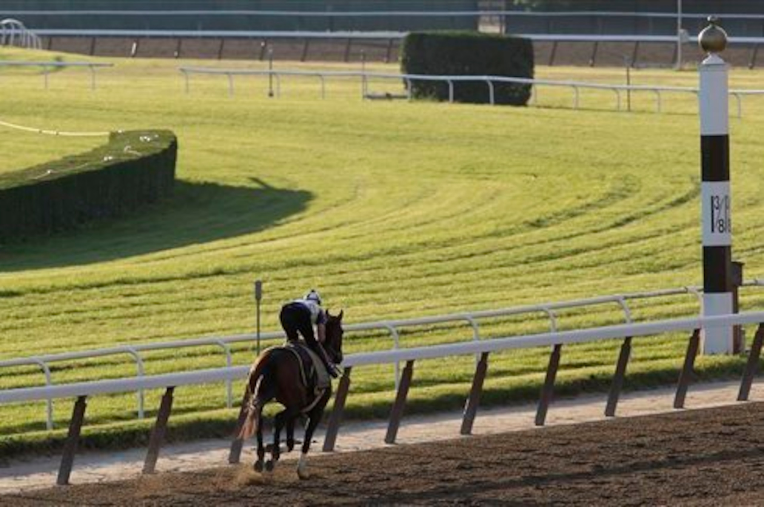 Pimlico might prove an easy task for AP, but Belmont is on a whole different level.