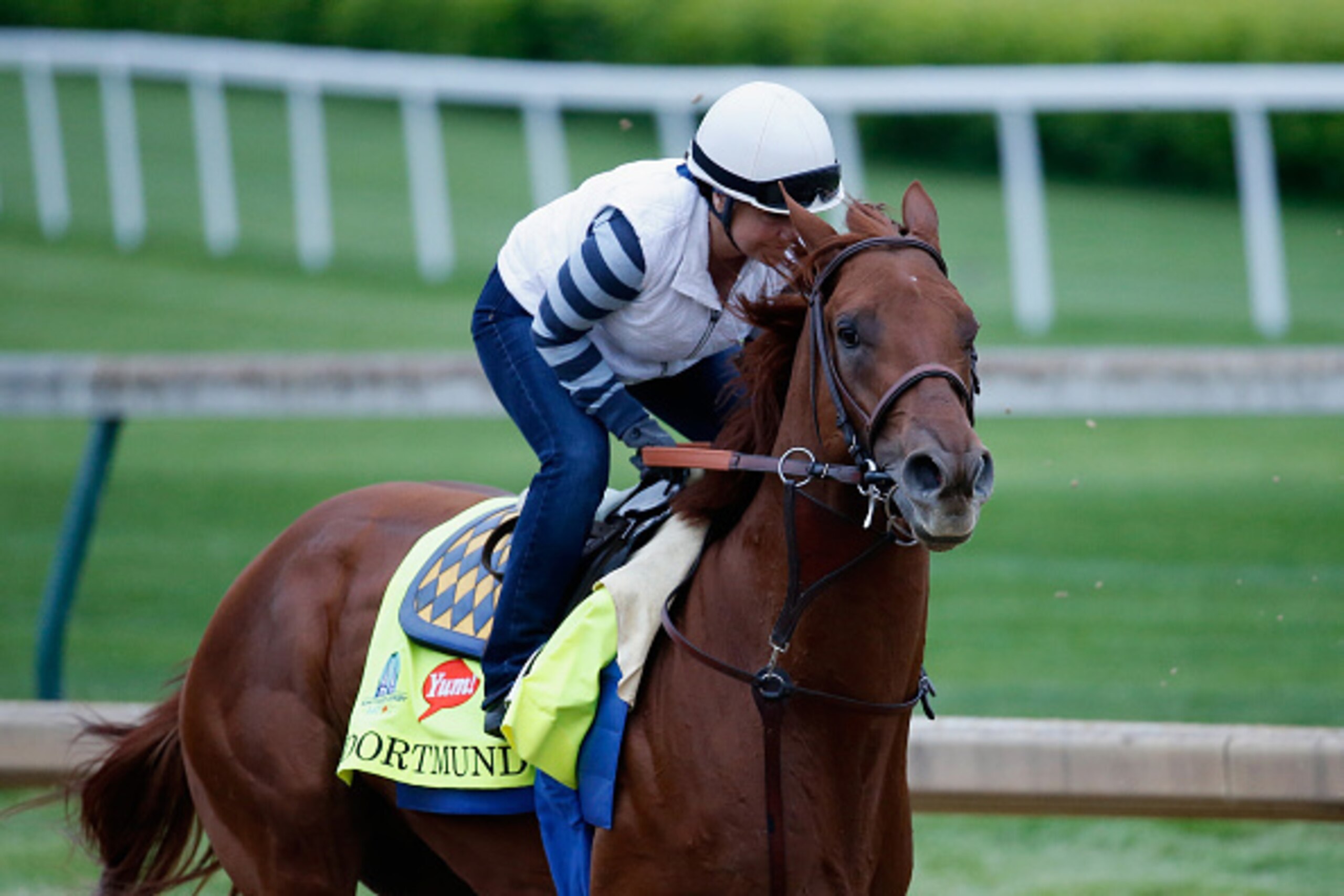 LOUISVILLE, KY - APRIL 30:  Dortmund goes over the track during morning training for the Kentucky Derby at Churchill Downs on April 30, 2015 in Louisville, Kentucky.  (Photo by Rob Carr/Getty Images)
