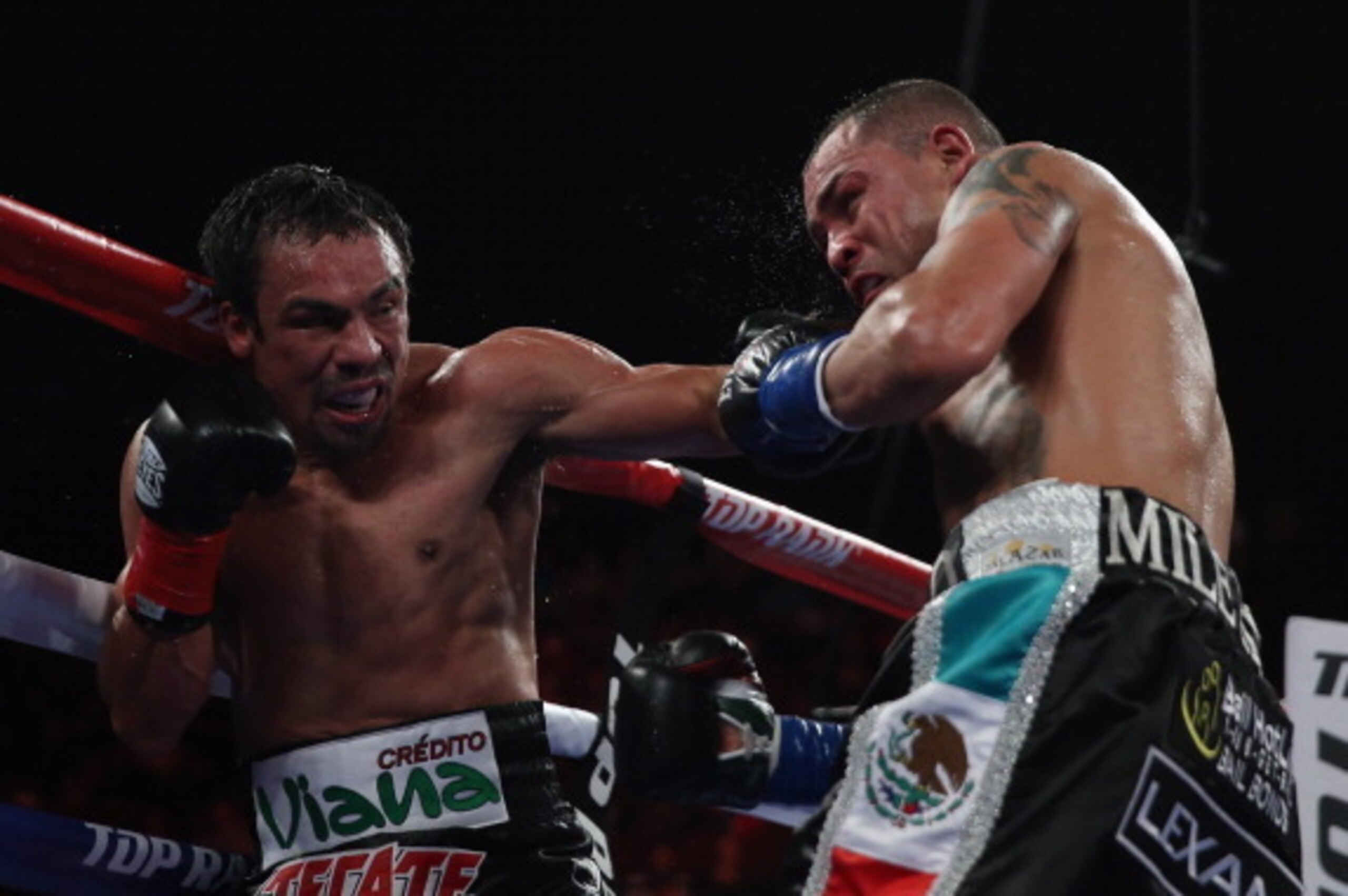 INGLEWOOD, CA - MAY 17: Juan Manuel Marquez (L) connects with a left hand to the chin of Mike Alvarado at The Forum on May 17, 2014 in Inglewood, California. (Photo by Jeff Gross/Getty Images) INGLEWOOD, CA - MAY 17: Juan Manuel Marquez (L) connects with a left hand to the chin of Mike Alvarado at The Forum on May 17, 2014 in Inglewood, California. (Photo by Jeff Gross/Getty Images)