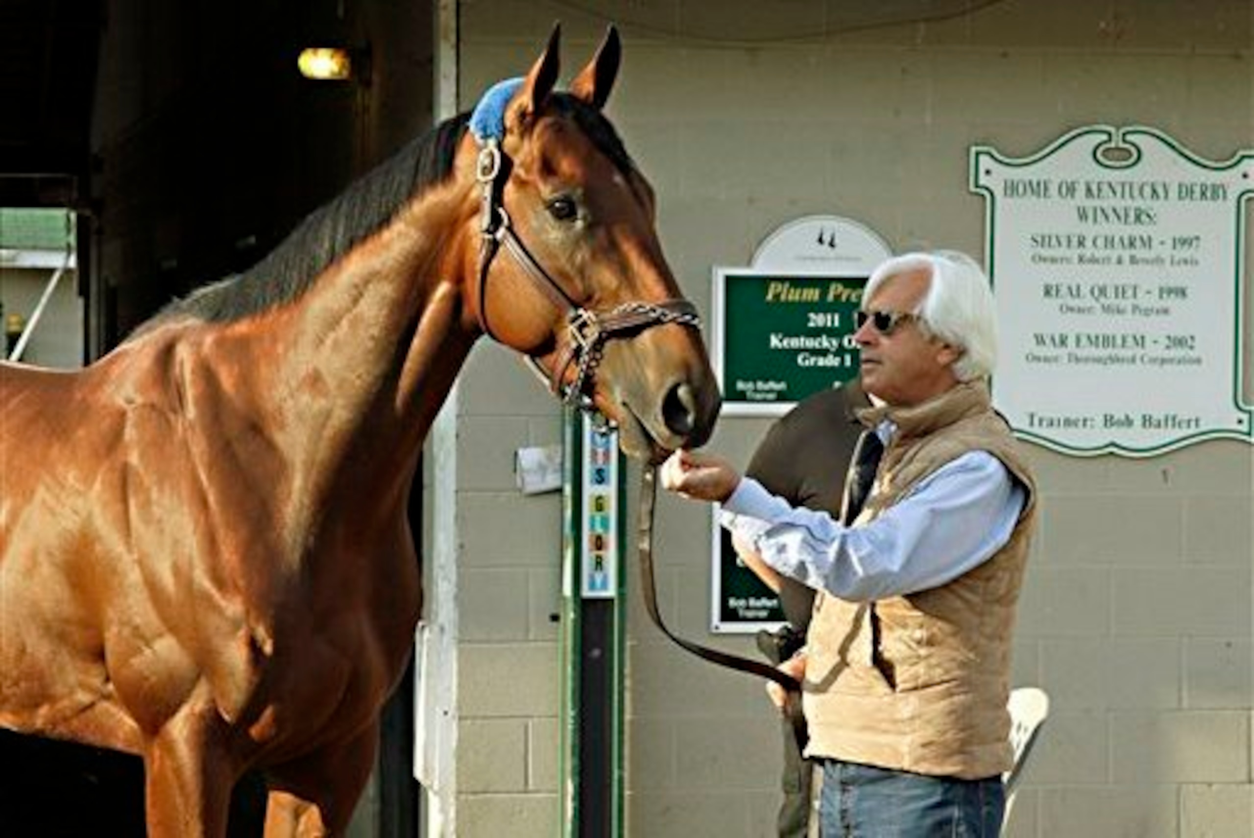 American Pharoah is bidding to be the first horse to win the Triple Crown in 37 years.
