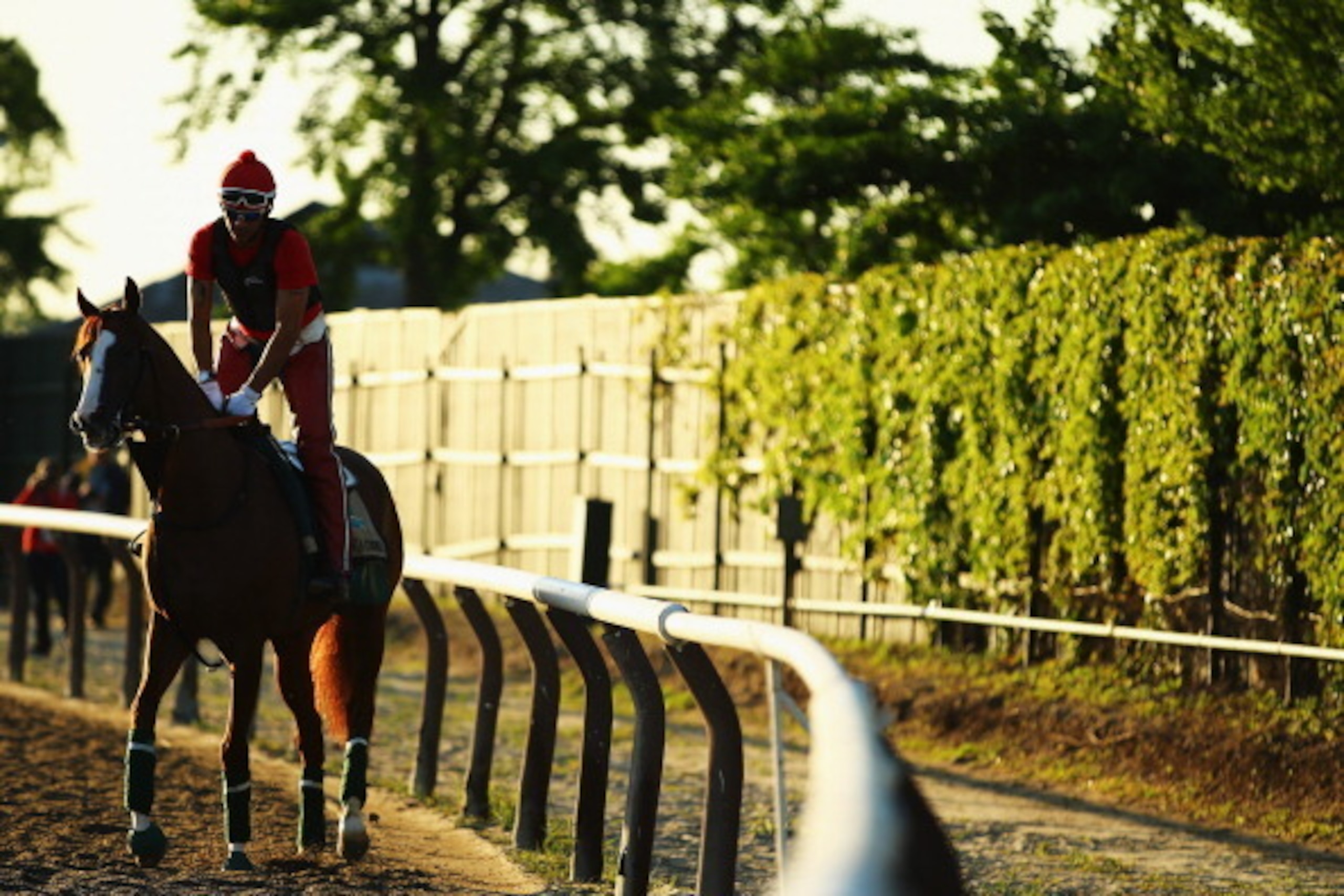 ELMONT, NY - JUNE 02:  Kentucky Derby and Preakness winner California Chrome, with exercise rider Willie Delgado up, walks on the main track at Belmont Park on June 2, 2014 in Elmont, New York. He is scheduled to race for the Triple Crown in the 146th run