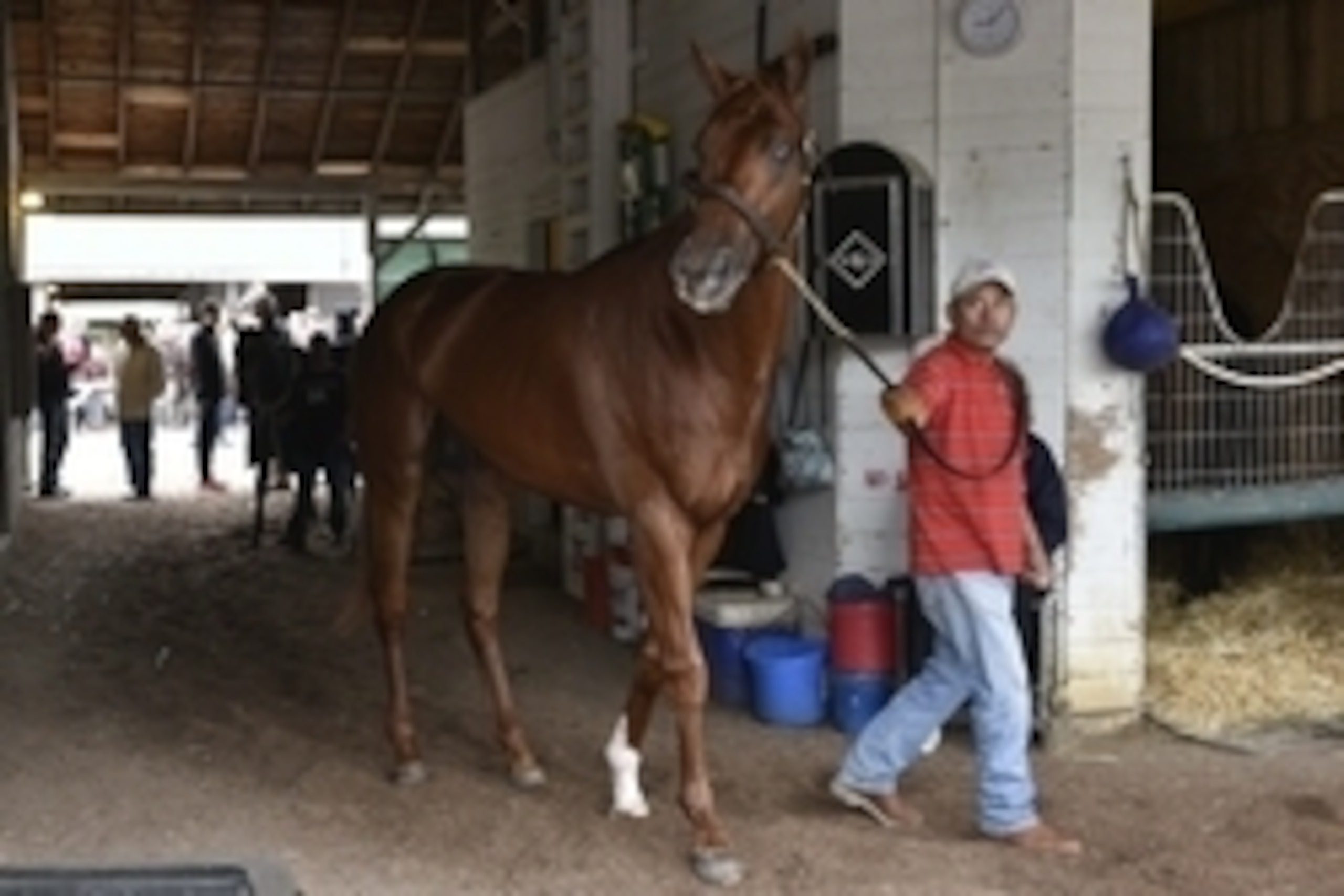 Apr 30, 2015; Lousiville, KY, USA; Santiago Ramerez walks Kentucky Derby entrant Dortmund around the barn after work outs at Churchill Downs. Mandatory Credit: Jamie Rhodes-USA TODAY Sports