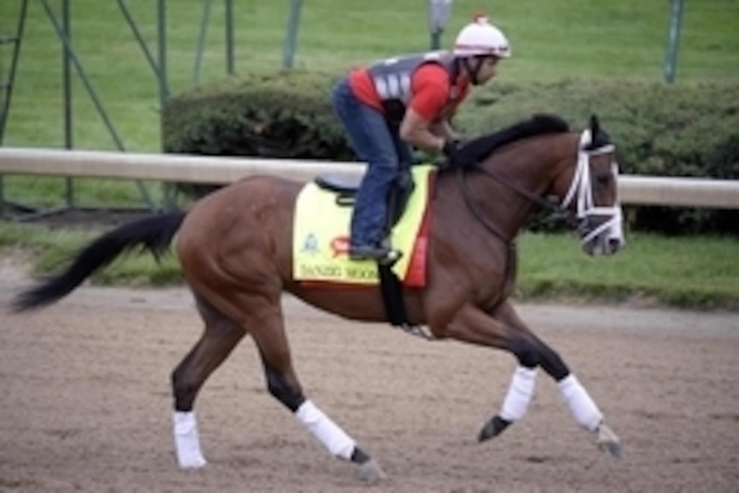 Apr 30, 2015; Lousiville, KY, USA; Exercise rider William Cano works out Danzig Moon trained by Mark Casse at Churchill Downs. Mandatory Credit: Jamie Rhodes-USA TODAY Sports Apr 30, 2015; Lousiville, KY, USA; Exercise rider William Cano works out Danzig Moon trained by Mark Casse at Churchill Downs. Mandatory Credit: Jamie Rhodes-USA TODAY Sports