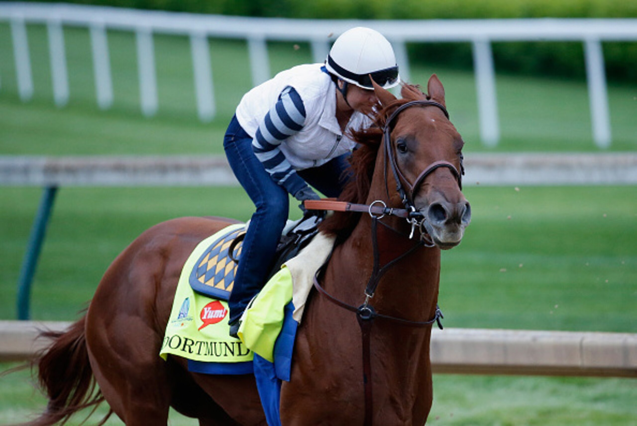 LOUISVILLE, KY - APRIL 30:  Dortmund goes over the track during morning training for the Kentucky Derby at Churchill Downs on April 30, 2015 in Louisville, Kentucky.  (Photo by Rob Carr/Getty Images)