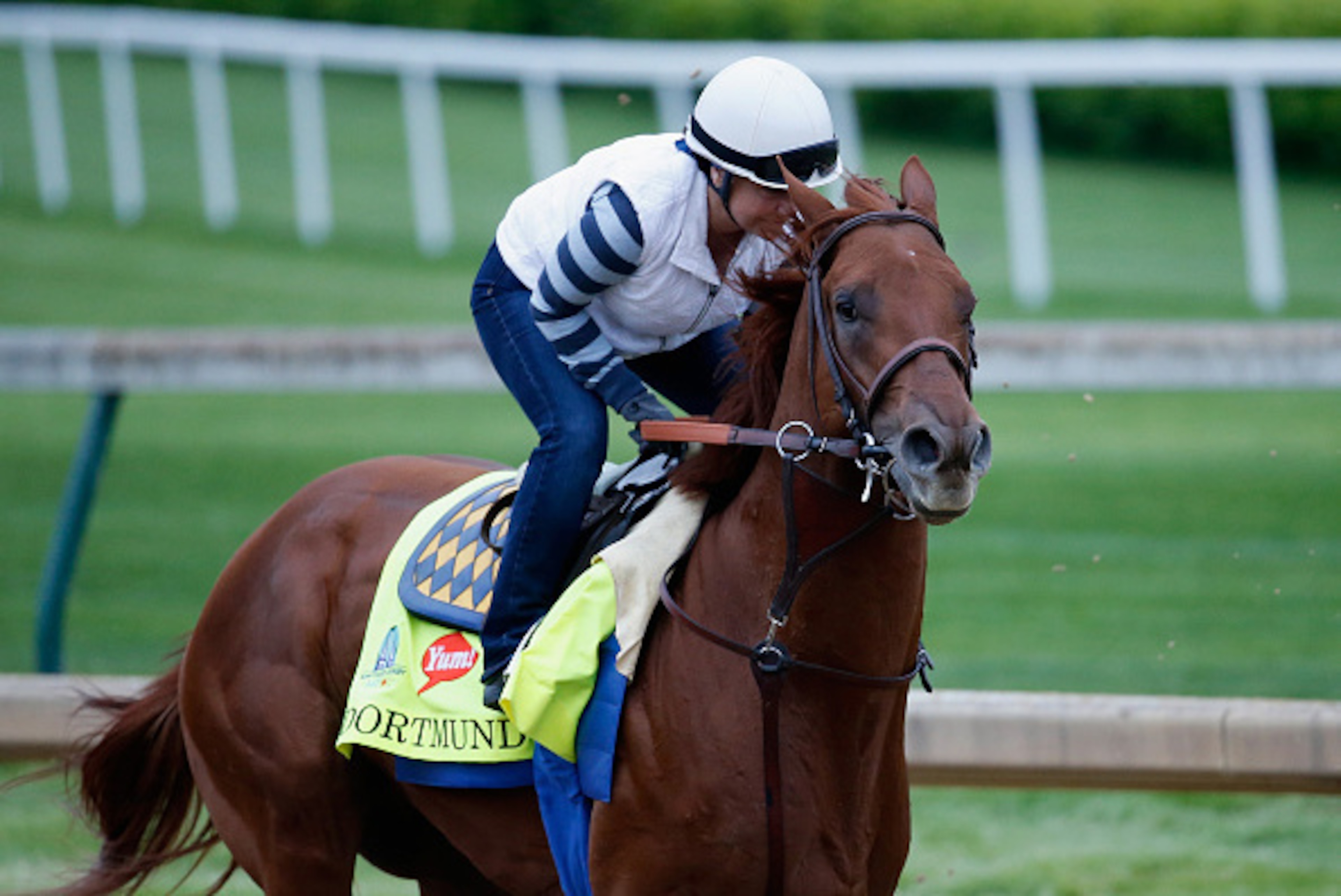 LOUISVILLE, KY - APRIL 30:  Dortmund goes over the track during morning training for the Kentucky Derby at Churchill Downs on April 30, 2015 in Louisville, Kentucky.  (Photo by Rob Carr/Getty Images)