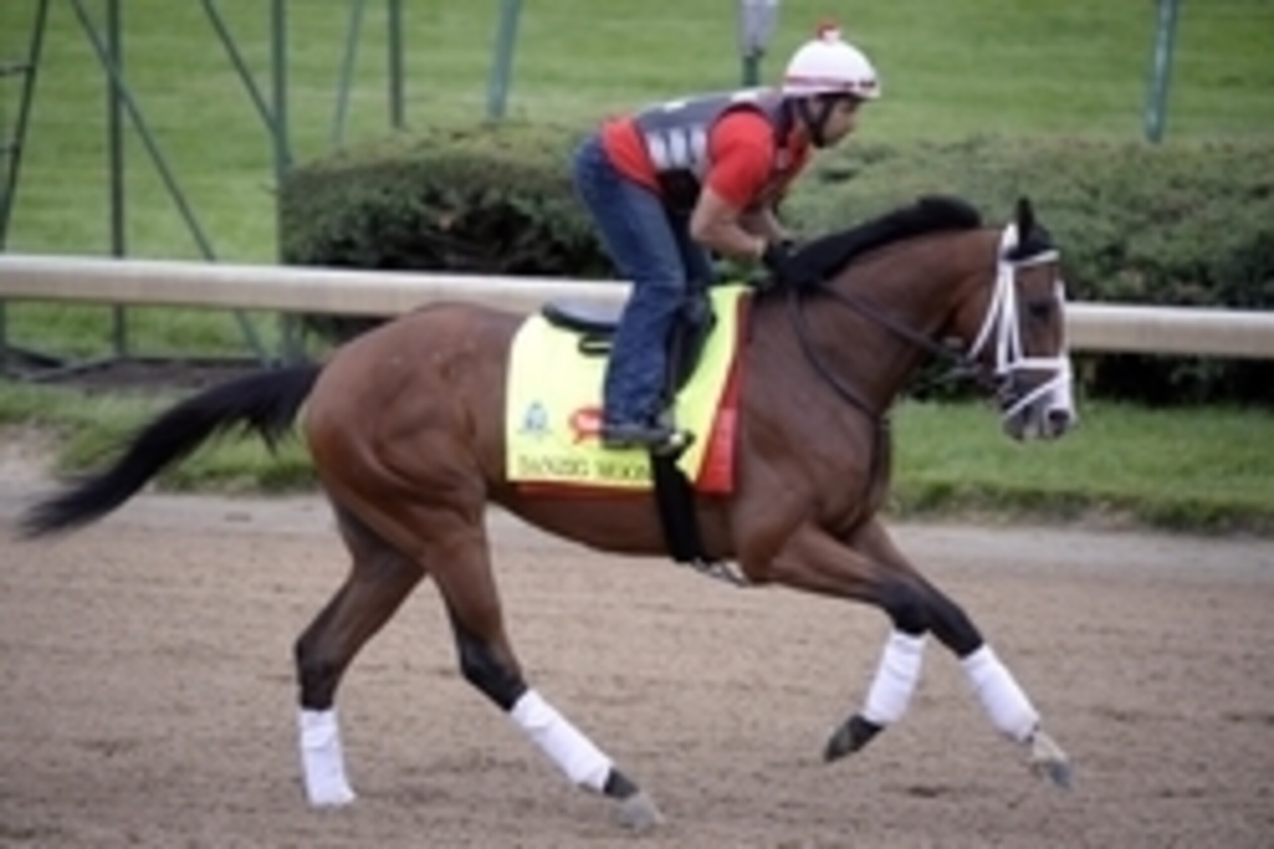 Apr 30, 2015; Lousiville, KY, USA; Exercise rider William Cano works out Danzig Moon trained by Mark Casse at Churchill Downs. Mandatory Credit: Jamie Rhodes-USA TODAY Sports
