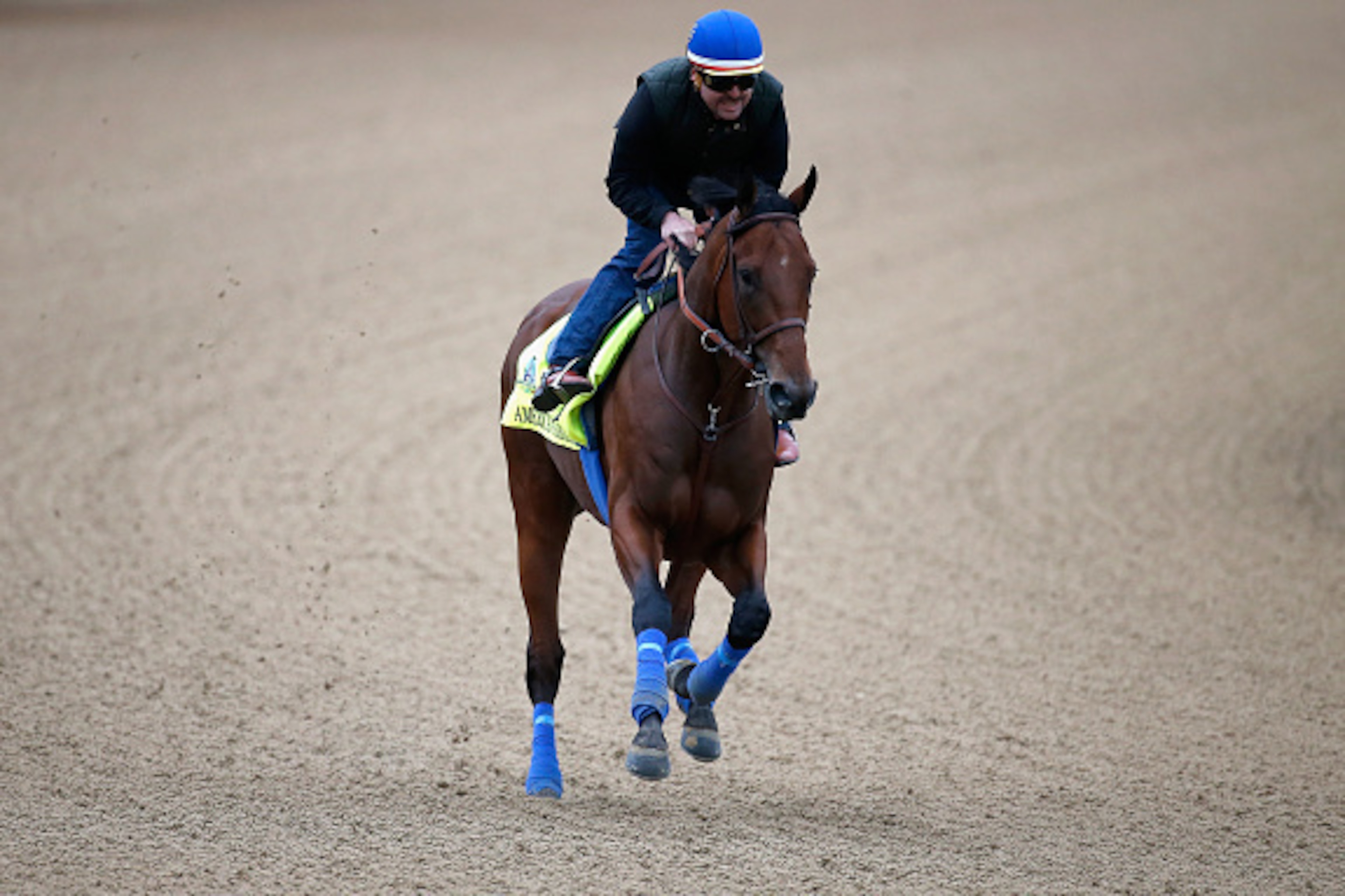 LOUISVILLE, KY - APRIL 30: American Pharoah goes over the track during morning training for the Kentucky Derby at Churchill Downs on April 30, 2015 in Louisville, Kentucky. (Photo by Rob Carr/Getty Images) LOUISVILLE, KY - APRIL 30: American Pharoah goes over the track during morning training for the Kentucky Derby at Churchill Downs on April 30, 2015 in Louisville, Kentucky. (Photo by Rob Carr/Getty Images)