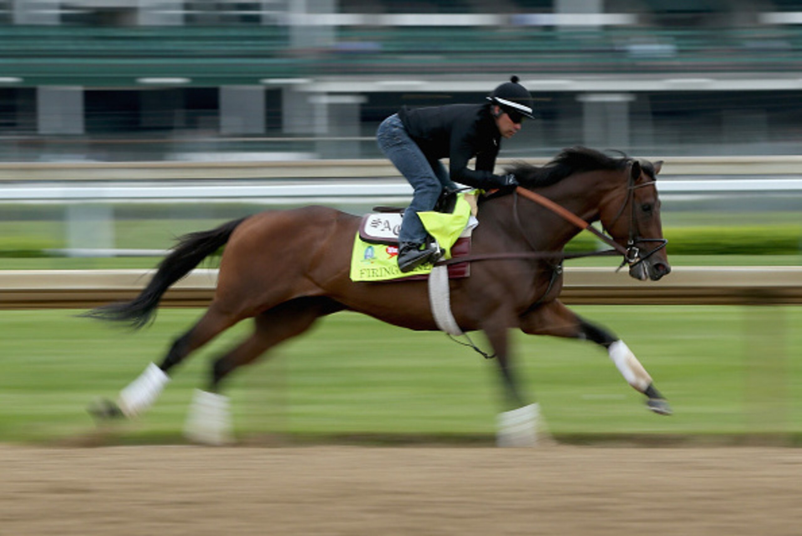 LOUISVILLE, KY - APRIL 30:  Firing Line runs on the track during the morning training for the Kentucky Derby at Churchill Downs on April 30, 2015 in Louisville, Kentucky.  (Photo by Andy Lyons/Getty Images)