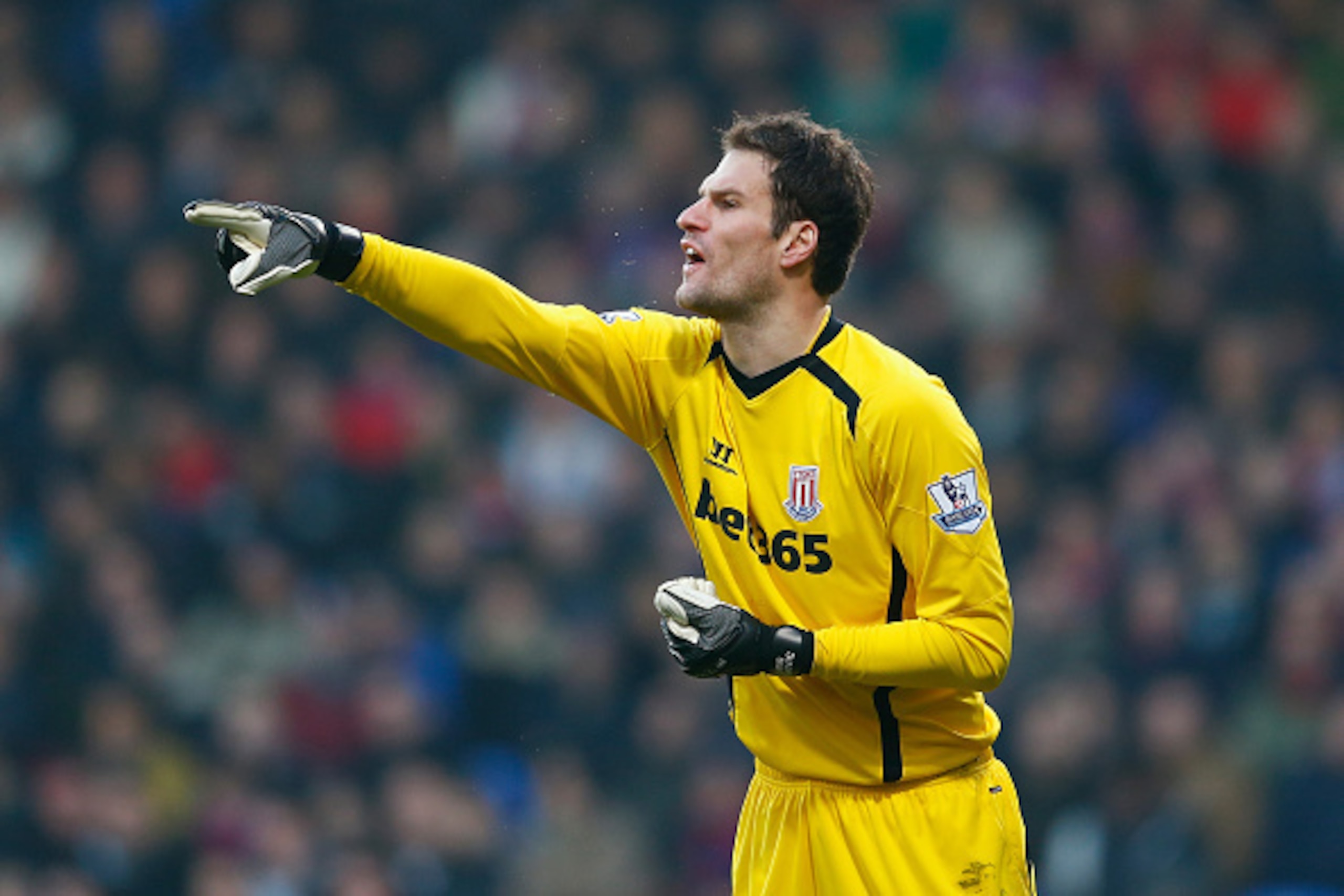 LONDON, ENGLAND - DECEMBER 13:  Asmir Begovic of Stoke City gives instructions during the Barclays Premier League match between Crystal Palace and Stoke City at Selhurst Park on December 13, 2014 in London, England.  (Photo by Julian Finney/Getty Images)