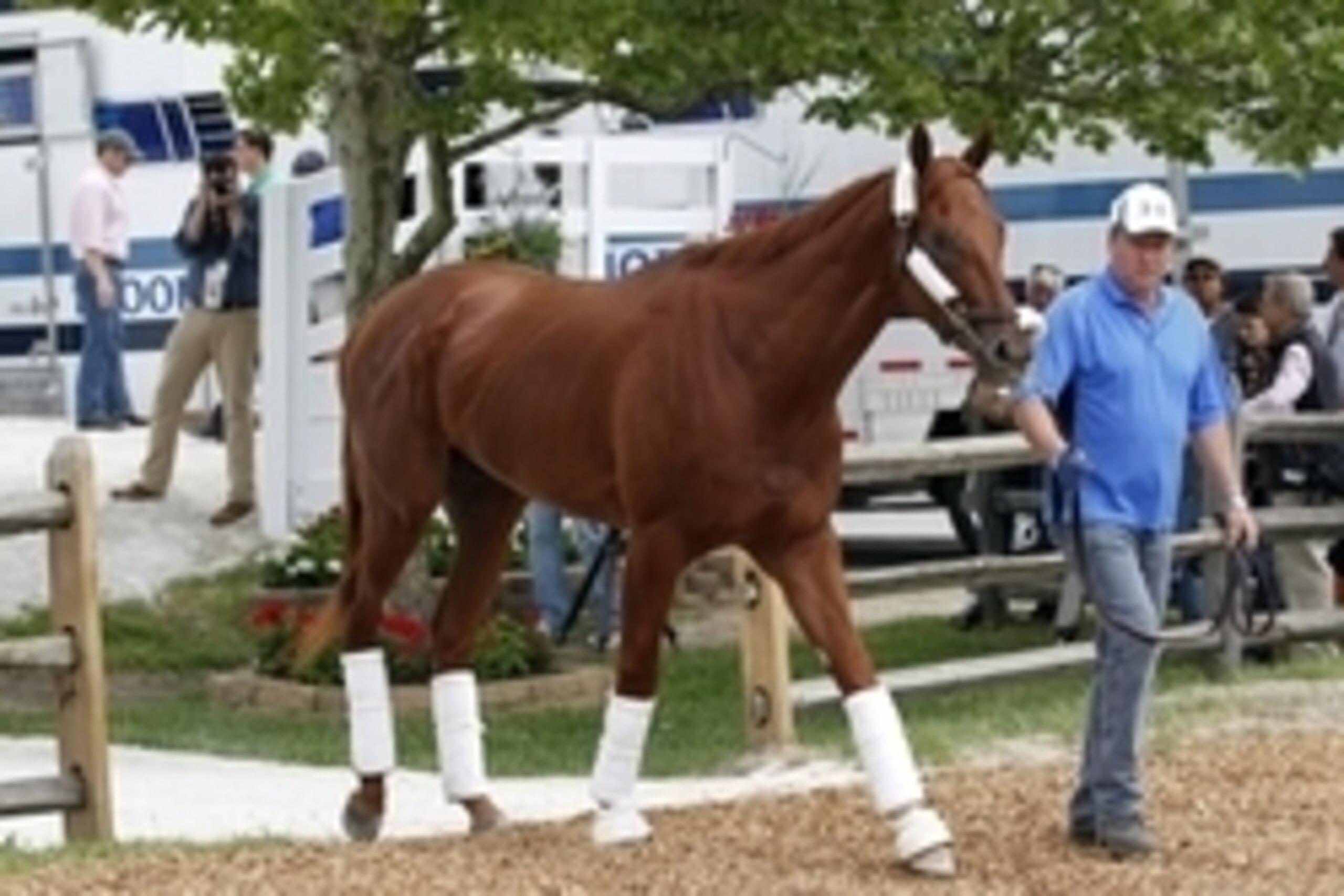 May 13, 2015; Baltimore, MD, USA; A handler walks Dortmund from a transporter into the Preakness Barn after arriving for the 140th Preakness Stakes at Pimlico Race Course. Mandatory Credit: Geoff Burke-USA TODAY Sports