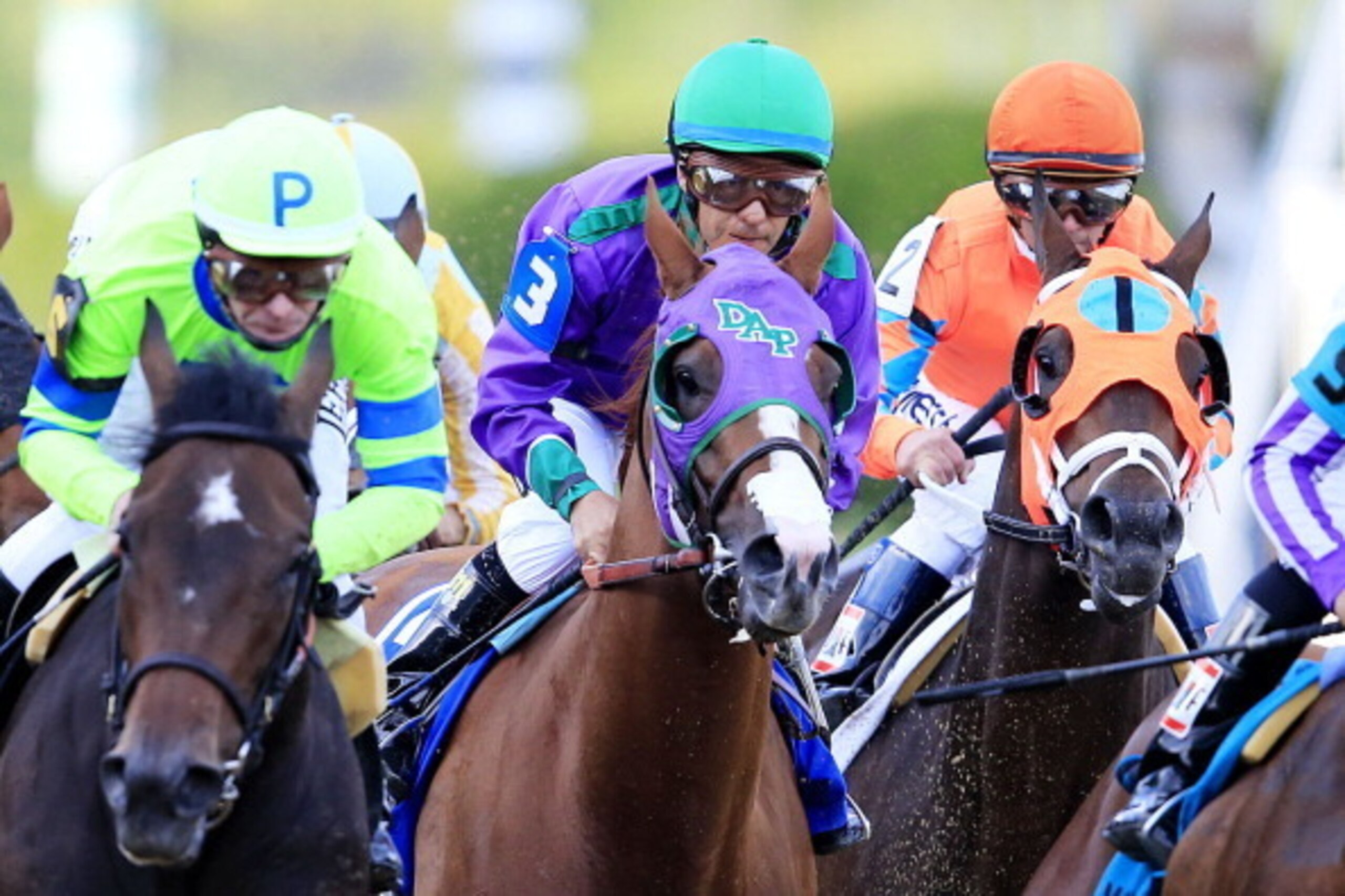BALTIMORE, MD - MAY 17:  California Chrome #3, ridden by Victor Espinoza, races with the field during the 139th running of the Preakness Stakes at Pimlico Race Course on May 17, 2014 in Baltimore, Maryland.  (Photo by Rob Carr/Getty Images)