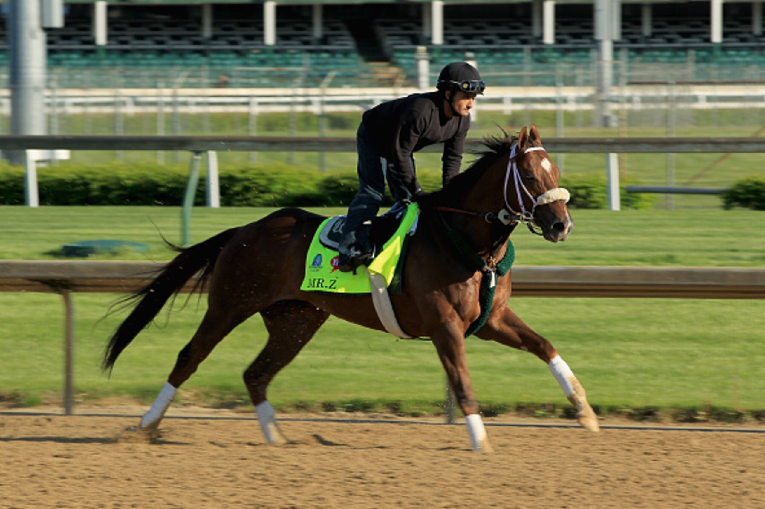 LOUISVILLE, KY - APRIL 27:  Mr. Z runs on the track during the morning training for the Kentucky Derby at Churchill Downs on April 27, 2015 in Louisville, Kentucky.  (Photo by Andy Lyons/Getty Images)