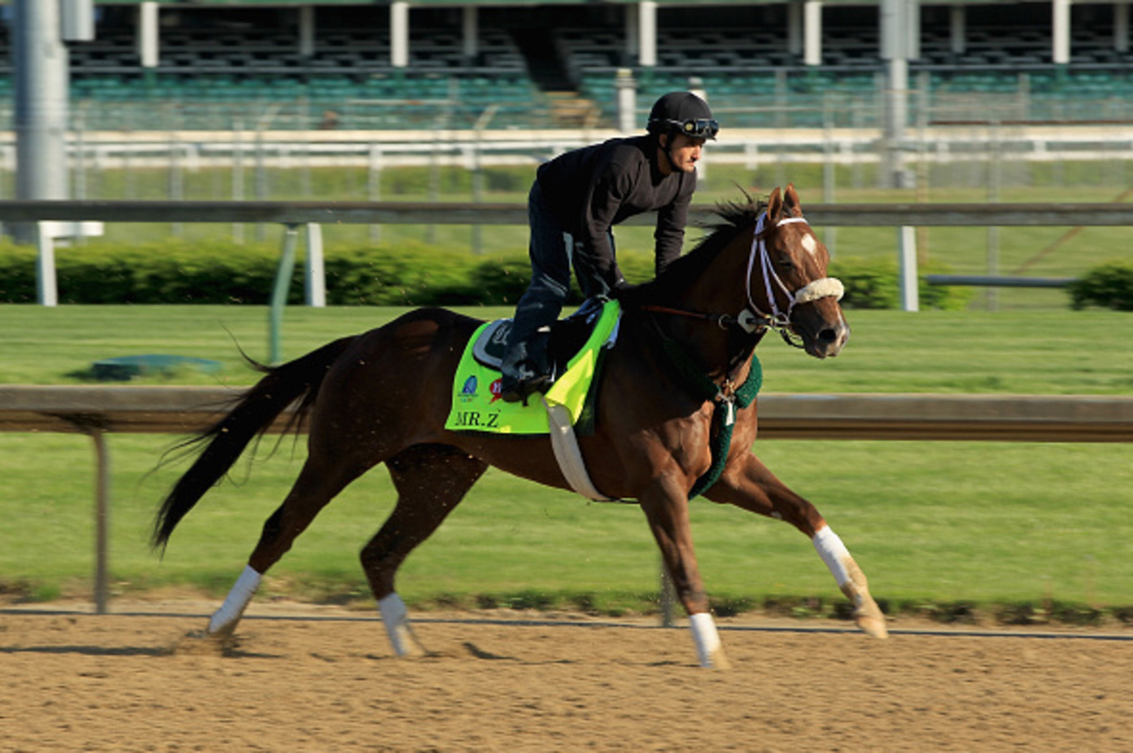 LOUISVILLE, KY - APRIL 27:  Mr. Z runs on the track during the morning training for the Kentucky Derby at Churchill Downs on April 27, 2015 in Louisville, Kentucky.  (Photo by Andy Lyons/Getty Images)