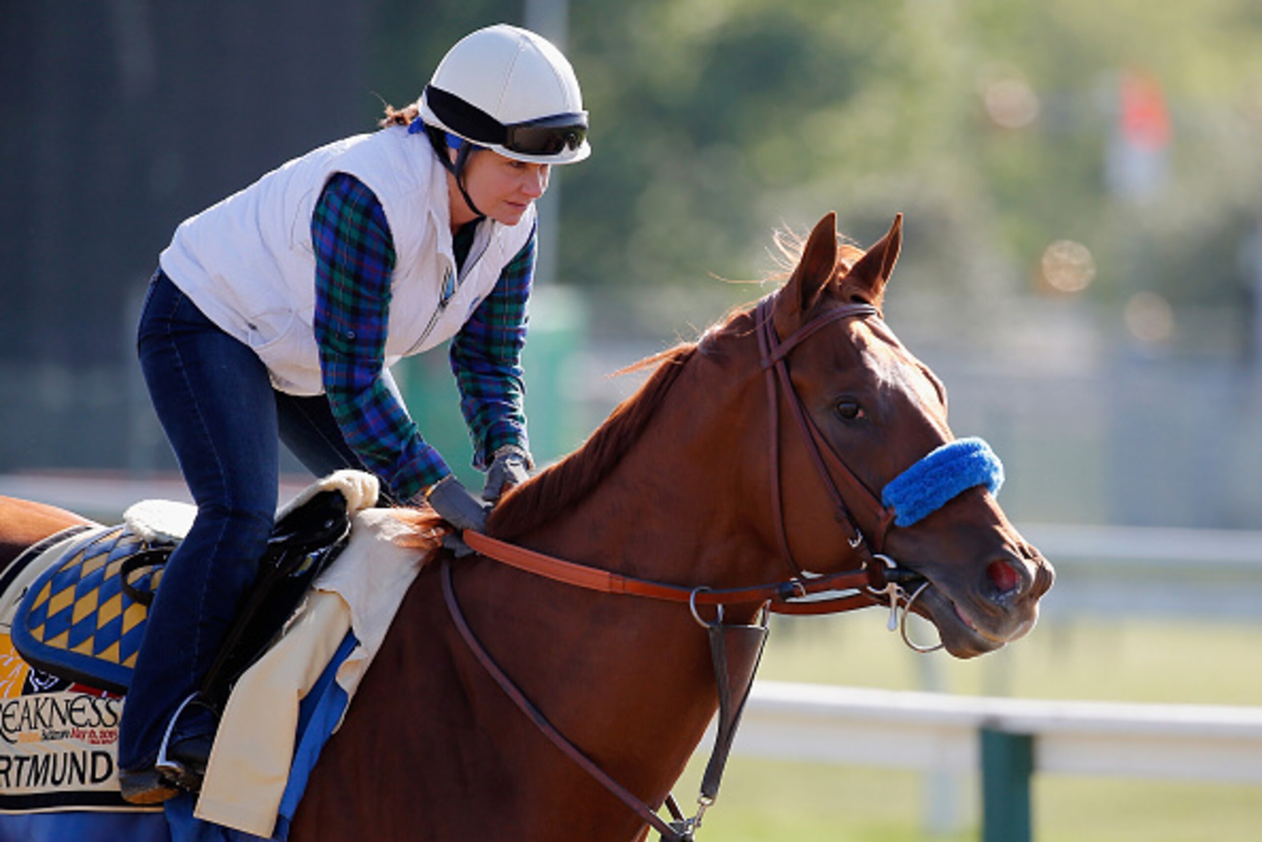 BALTIMORE, MD - MAY 14: Dortmund trains on the track for the 140th Preakness Stakes at Pimlico Race Course on May 14, 2015 in Baltimore, Maryland. (Photo by Rob Carr/Getty Images) BALTIMORE, MD - MAY 14: Dortmund trains on the track for the 140th Preakness Stakes at Pimlico Race Course on May 14, 2015 in Baltimore, Maryland. (Photo by Rob Carr/Getty Images)