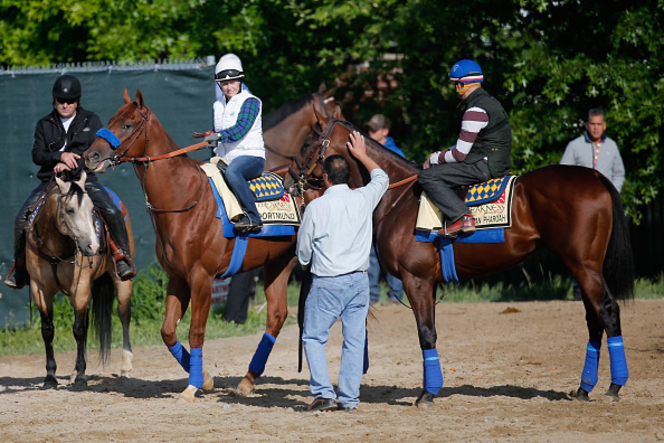 BALTIMORE, MD - MAY 14: Kentucky Derby winner American Pharoah (R) and Dortmund walk to the track for training for the 140th Preakness Stakes at Pimlico Race Course on May 14, 2015 in Baltimore, Maryland. (Photo by Rob Carr/Getty Images) BALTIMORE, MD - MAY 14: Kentucky Derby winner American Pharoah (R) and Dortmund walk to the track for training for the 140th Preakness Stakes at Pimlico Race Course on May 14, 2015 in Baltimore, Maryland. (Photo by Rob Carr/Getty Images)