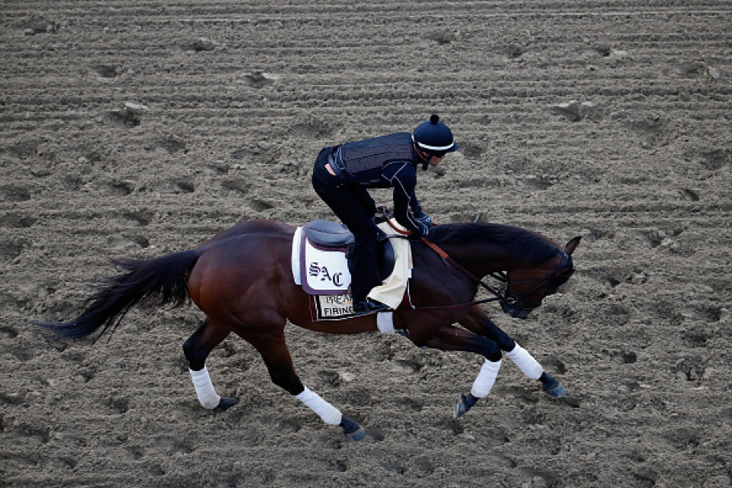 BALTIMORE, MD - MAY 15:  Firing Line trains on the track for the 140th Preakness Stakes at Pimlico Race Course on May 15, 2015 in Baltimore, Maryland.  (Photo by Rob Carr/Getty Images)