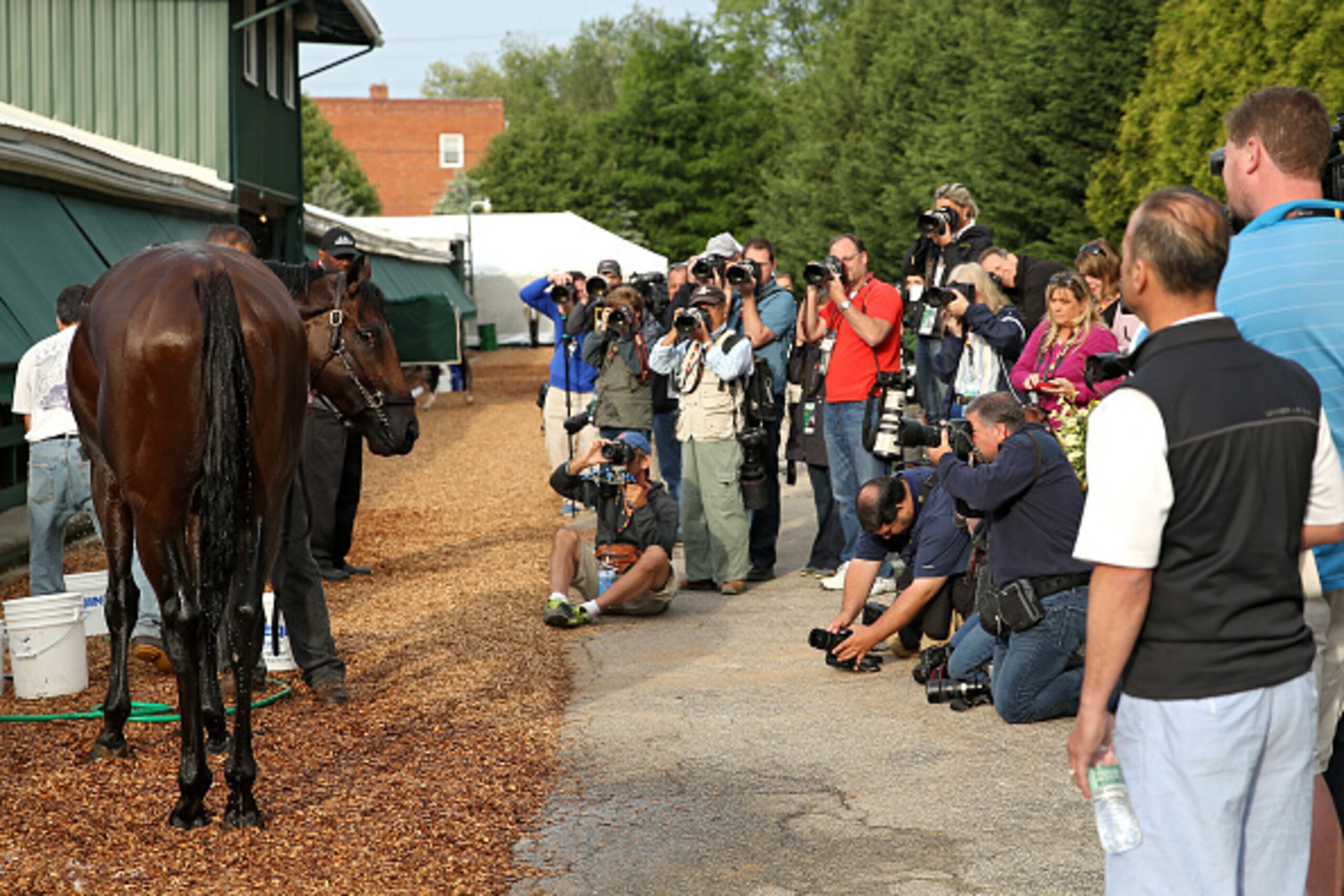 BALTIMORE, MD - MAY 15: American Pharoah is bathed at the barn after training for the 140th Preakness Stakes at Pimlico Race Course on May 15, 2015 in Baltimore, Maryland. (Photo by Patrick Smith/Getty Images)