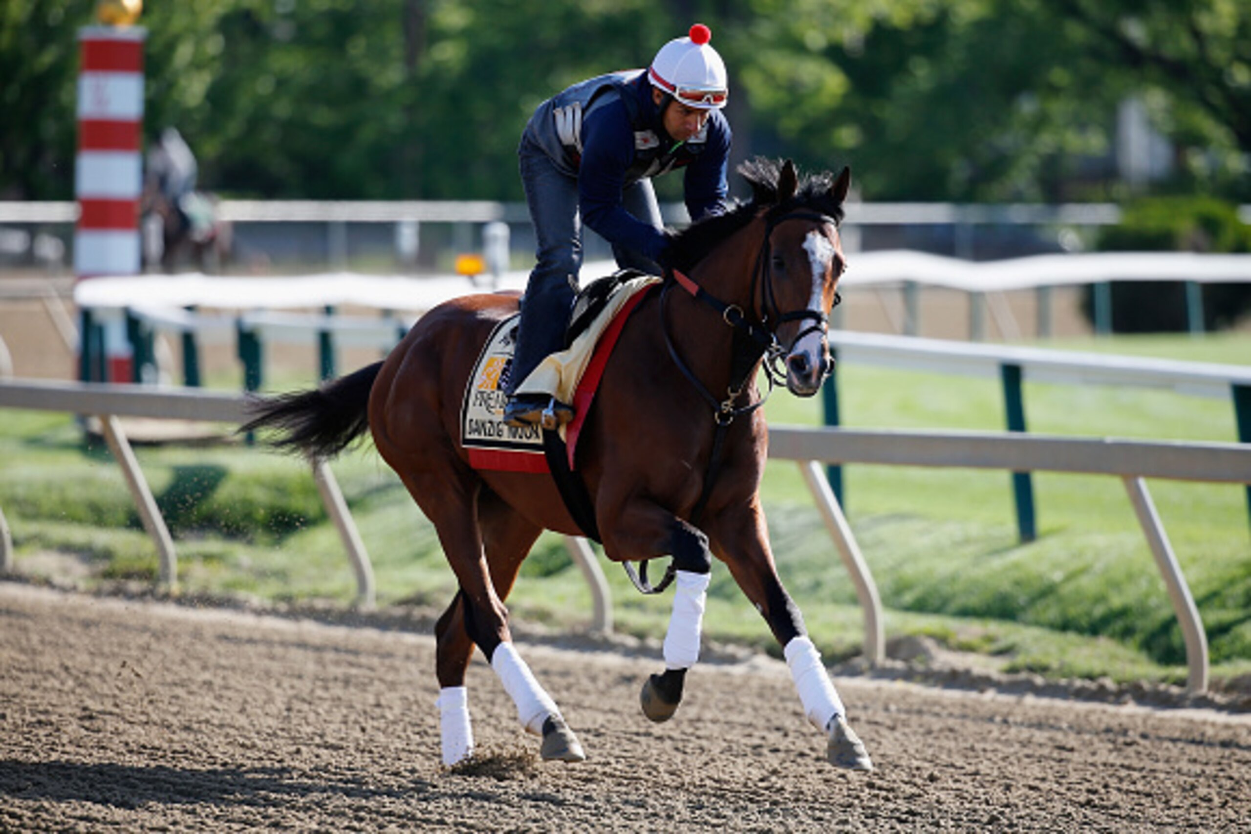 BALTIMORE, MD - MAY 14: Danzig Moon trains on the track for the 140th Preakness Stakes at Pimlico Race Course on May 14, 2015 in Baltimore, Maryland.  (Photo by Rob Carr/Getty Images)