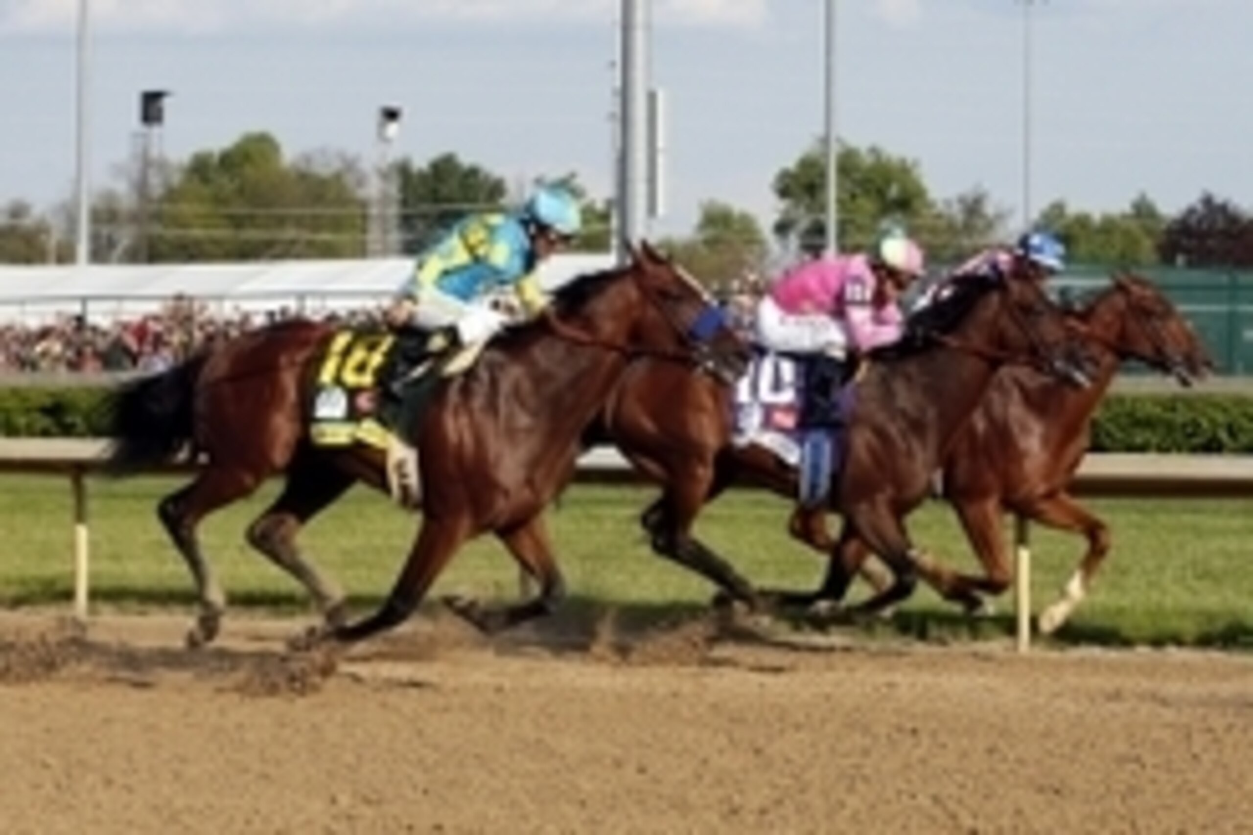 May 2, 2015; Louisville, KY, USA; Victor Espinoza aboard American Pharoah (18), Gary L Stevens aboard Firing Line (10) and Martin Garcia aboard Dortmund go down the front stretch during the 141st Kentucky Derby at Churchill Downs. Mandatory Credit: Brian 