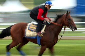 BALTIMORE, MD - MAY 15: American Pharoah trains on the track for the 140th Preakness Stakes at Pimlico Race Course on May 15, 2015 in Baltimore, Maryland. (Photo by Patrick Smith/Getty Images)