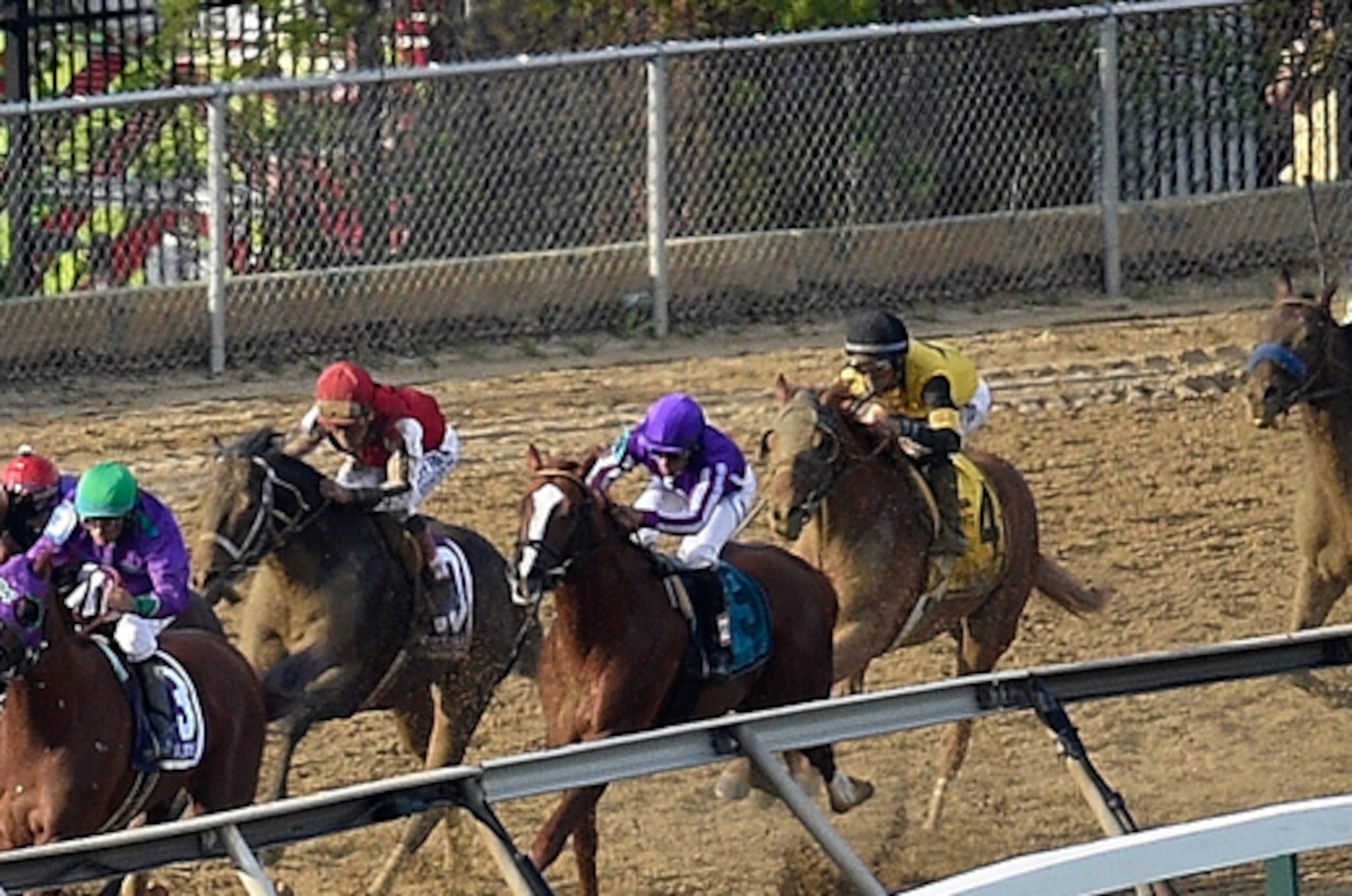 Weather cooperated in 2014, when California Chrome took the victory.
