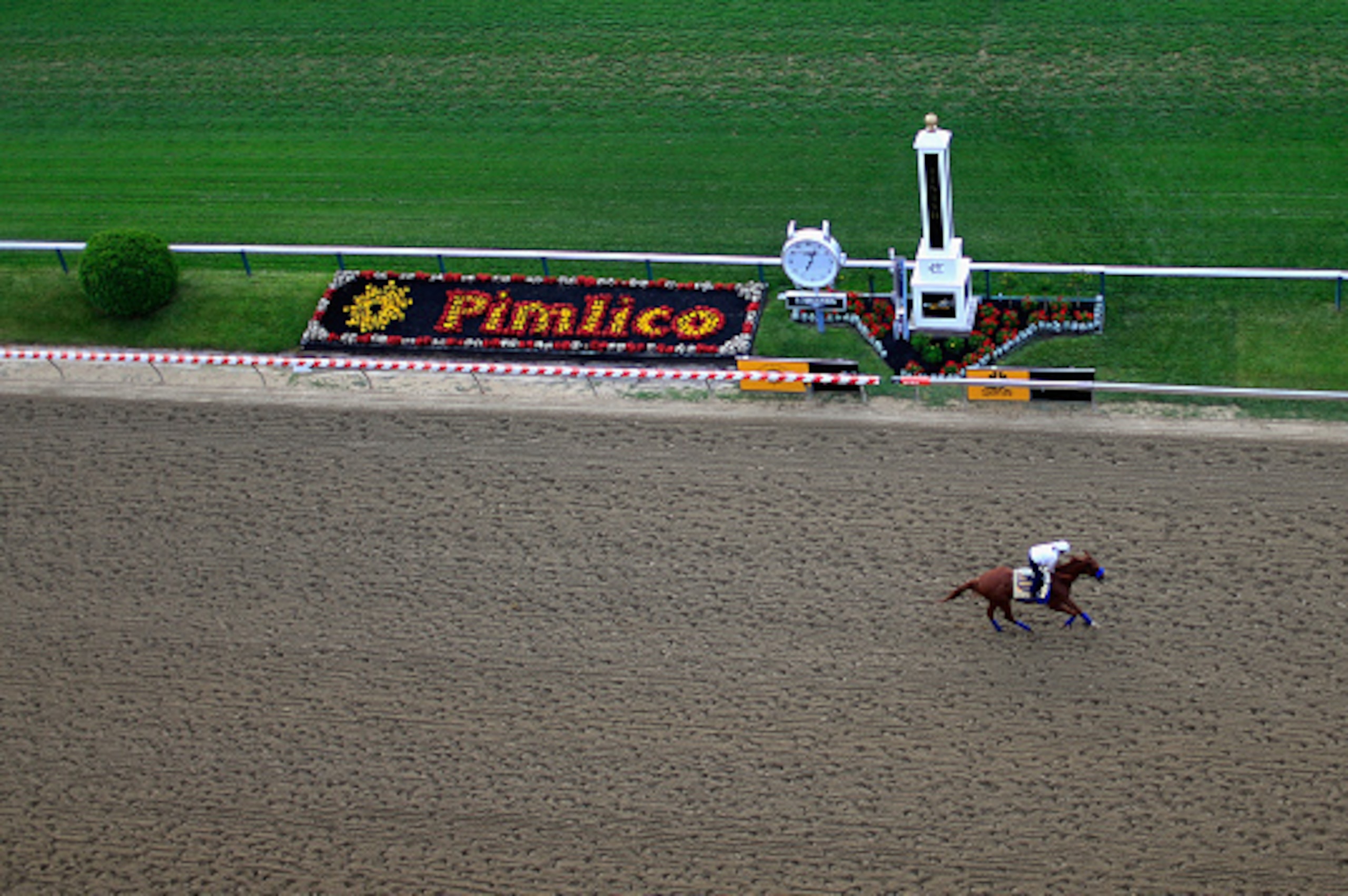 BALTIMORE, MD - MAY 15:  Dortmund trains on the track for the 140th Preakness Stakes at Pimlico Race Course on May 15, 2015 in Baltimore, Maryland.  (Photo by Rob Carr/Getty Images)