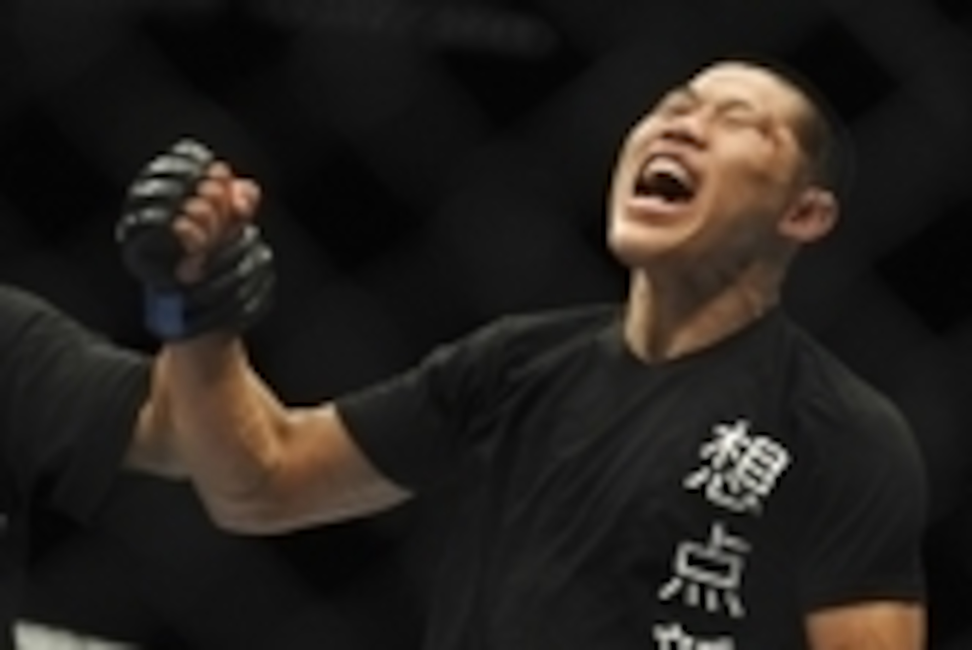 May 24, 2014; Las Vegas, NV, USA; Li Jingliang celebrates his split decision win over David Michaud (not pictured) after their UFC 173 welterweight bout at MGM Grand Garden Arena. Mandatory Credit: Stephen R. Sylvanie-USA TODAY Sports May 24, 2014; Las Vegas, NV, USA; Li Jingliang celebrates his split decision win over David Michaud (not pictured) after their UFC 173 welterweight bout at MGM Grand Garden Arena. Mandatory Credit: Stephen R. Sylvanie-USA TODAY Sports
