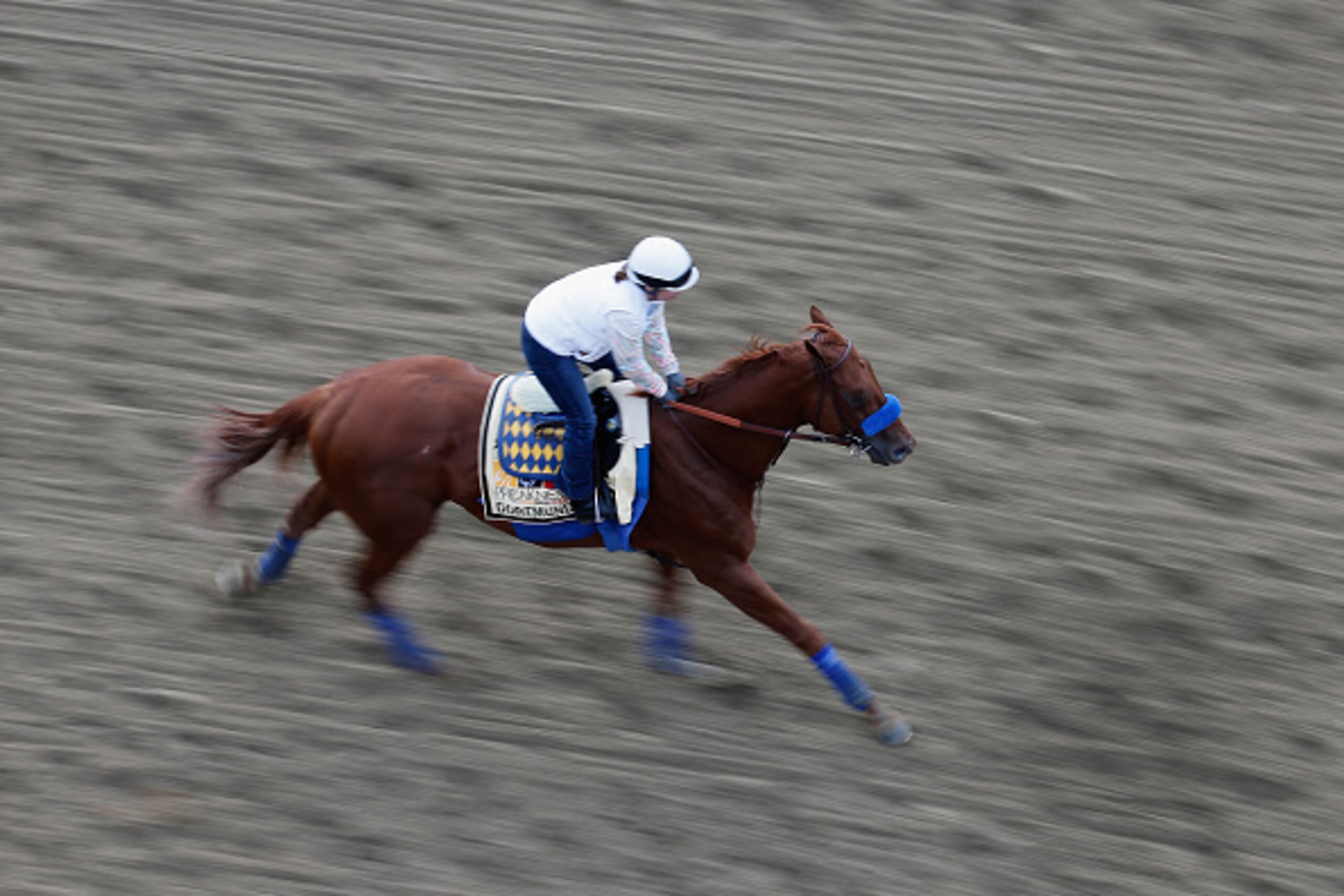 BALTIMORE, MD - MAY 15: Dortmund trains on the track for the 140th Preakness Stakes at Pimlico Race Course on May 15, 2015 in Baltimore, Maryland.  (Photo by Rob Carr/Getty Images)