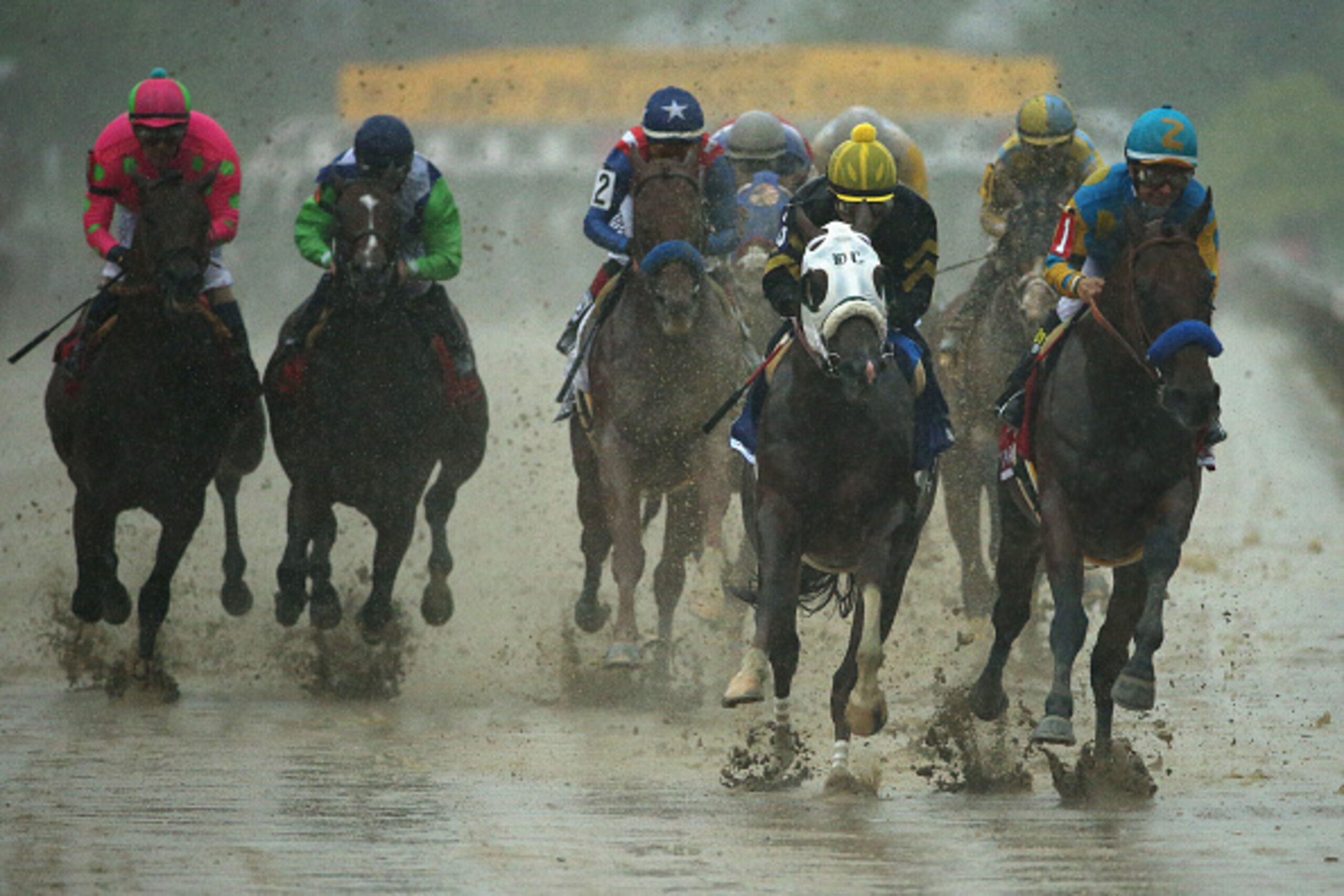 BALTIMORE, MD - MAY 16:  American Pharoah #1 ridden by Victor Espinoza leads the field into the first turn during the 140th running of the Preakness Stakes at Pimlico Race Course on May 16, 2015 in Baltimore, Maryland.  (Photo by Patrick Smith/Getty Image