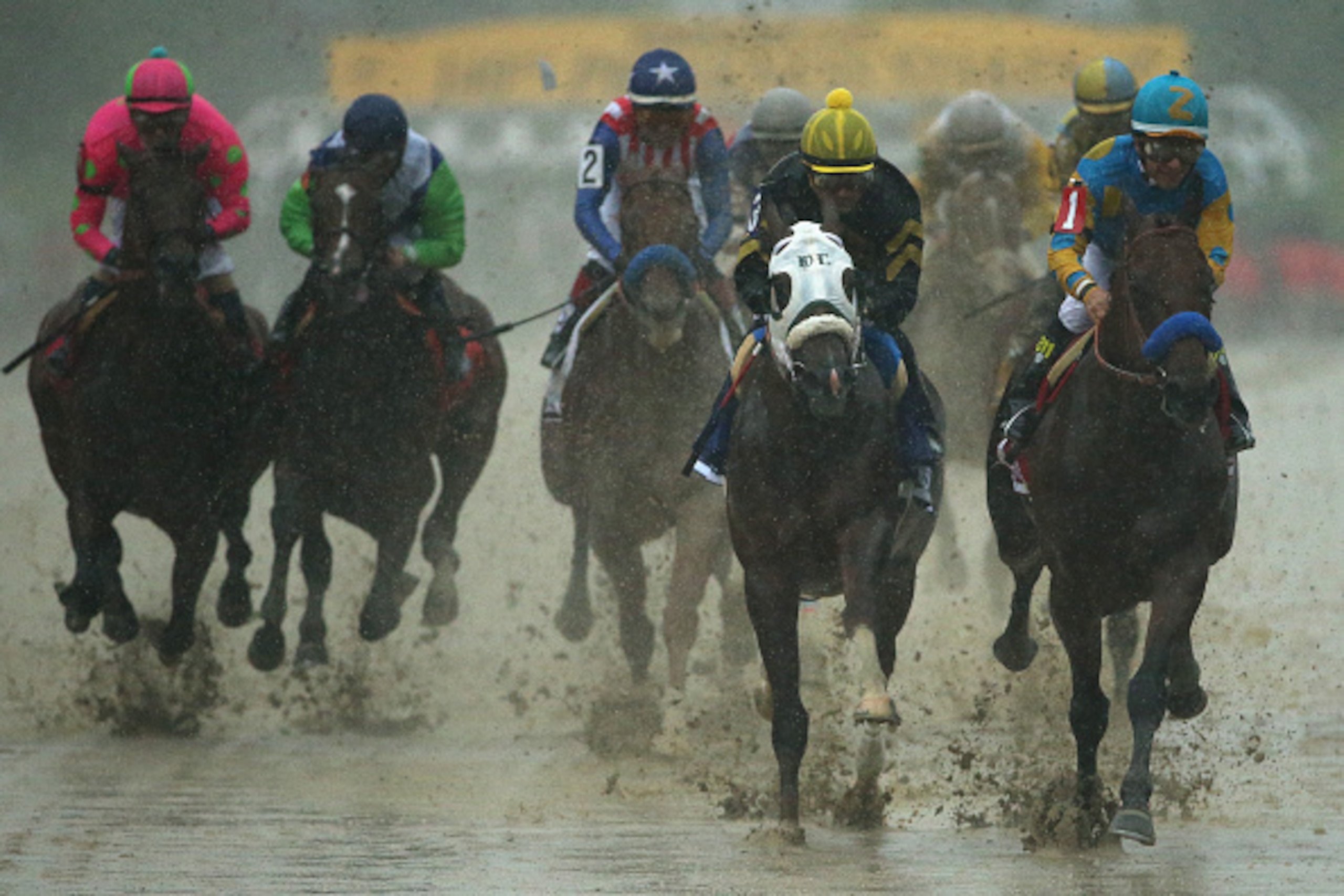 BALTIMORE, MD - MAY 16:  American Pharoah #1 ridden by Victor Espinoza leads the field into the first turn during the 140th running of the Preakness Stakes at Pimlico Race Course on May 16, 2015 in Baltimore, Maryland.  (Photo by Patrick Smith/Getty Image