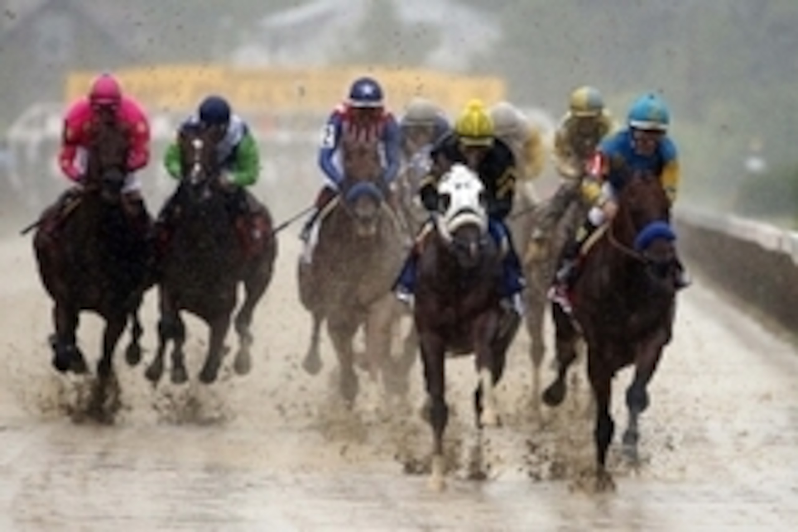 May 16, 2015; Baltimore, MD, USA; Victor Espinoza aboard American Pharoah leads the pack during the 140th Preakness Stakes at Pimlico Race Course. Mandatory Credit: Winslow Townson-USA TODAY Sports