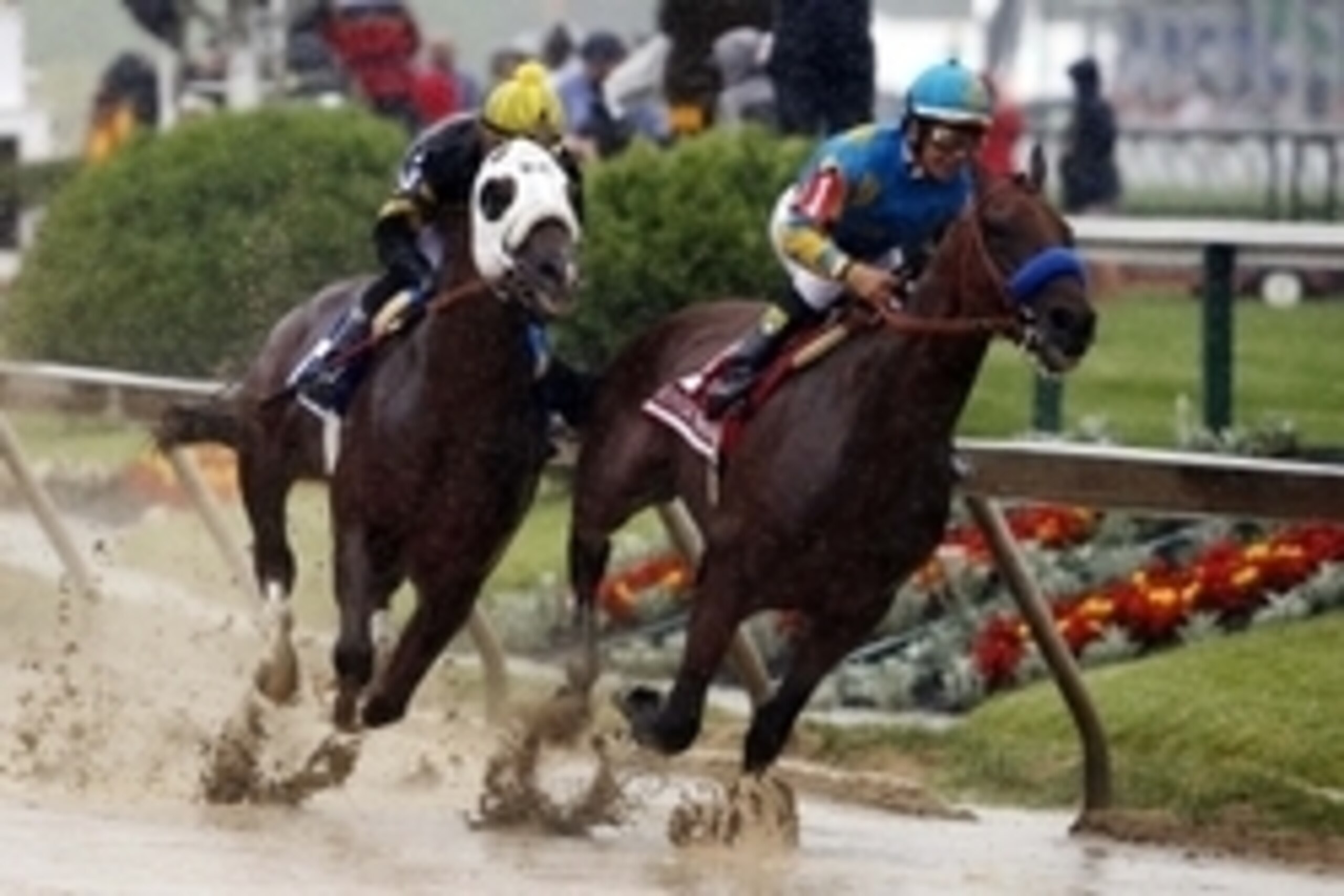 May 16, 2015; Baltimore, MD, USA; Victor Espinoza aboard American Pharoah leads Corey Nakatani aboard Mr. Z during the 140th Preakness Stakes at Pimlico Race Course. Mandatory Credit: Winslow Townson-USA TODAY Sports