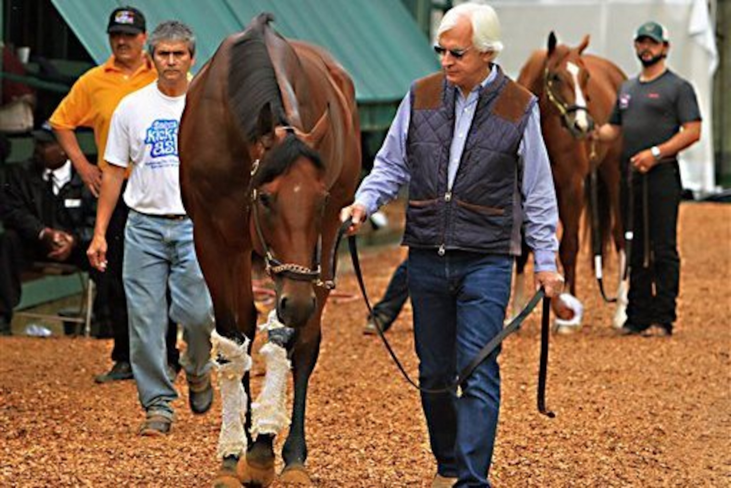 American Pharoah has won his last six races.