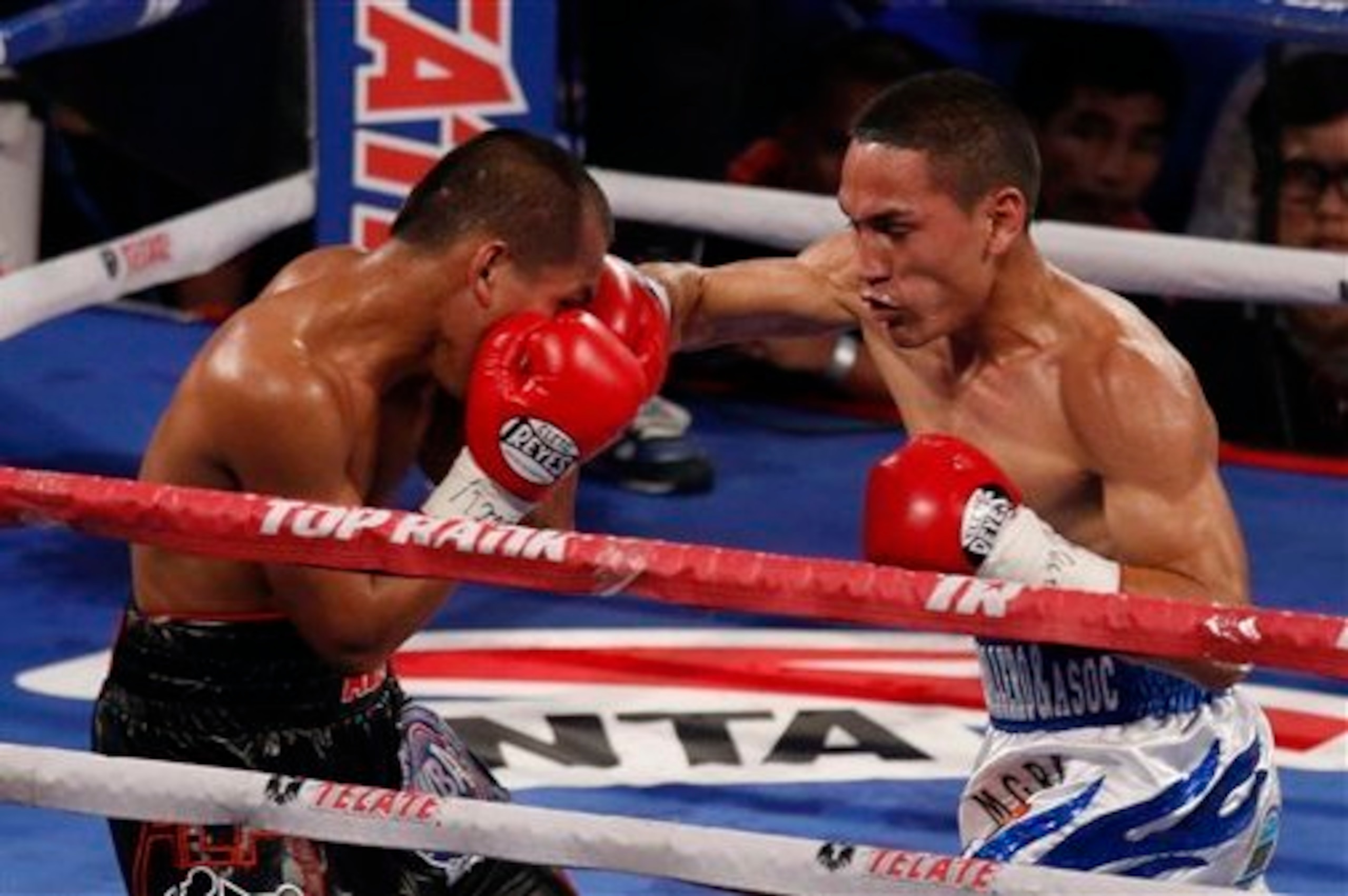 WBA and WBO champion Estrada.