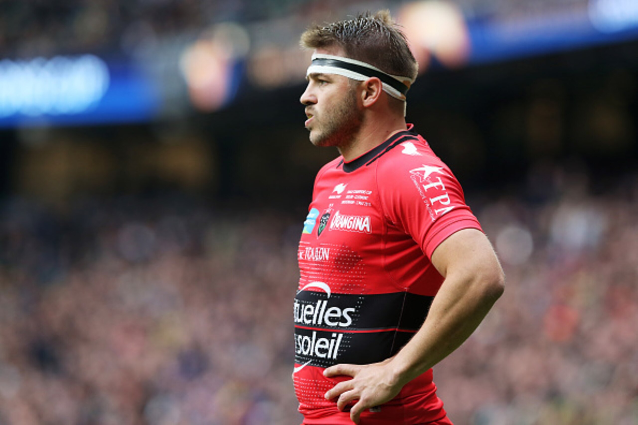 LONDON, ENGLAND - MAY 02: Drew Mitchell of Toulon looks on during the European Rugby Champions Cup Final match between ASM Clermont Auvergne and RC Toulon at Twickenham Stadium on May 2, 2015 in London, England. (Photo by David Rogers/Getty Images) LONDON, ENGLAND - MAY 02: Drew Mitchell of Toulon looks on during the European Rugby Champions Cup Final match between ASM Clermont Auvergne and RC Toulon at Twickenham Stadium on May 2, 2015 in London, England. (Photo by David Rogers/Getty Images)