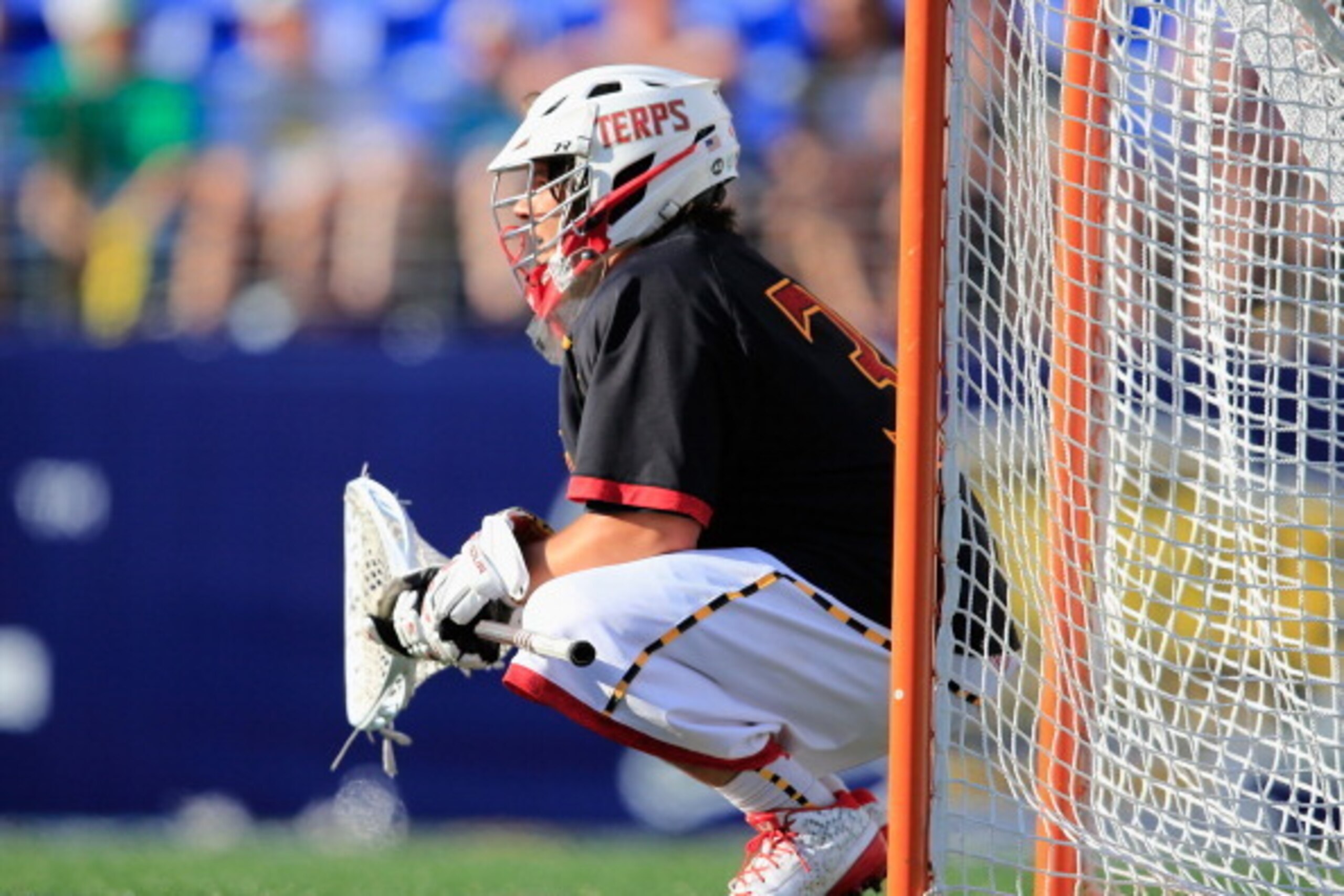 BALTIMORE, MD - MAY 24: Goalie Niko Amato #31 of the Maryland Terrapins sits in goal after giving up a score closing mintues of the Terrapins 11-6 loss to the Notre Dame Fighting Irish during the semifinals of the 2014 NCAA Division I Men's Lacrosse Champ BALTIMORE, MD - MAY 24: Goalie Niko Amato #31 of the Maryland Terrapins sits in goal after giving up a score closing mintues of the Terrapins 11-6 loss to the Notre Dame Fighting Irish during the semifinals of the 2014 NCAA Division I Men's Lacrosse Champ