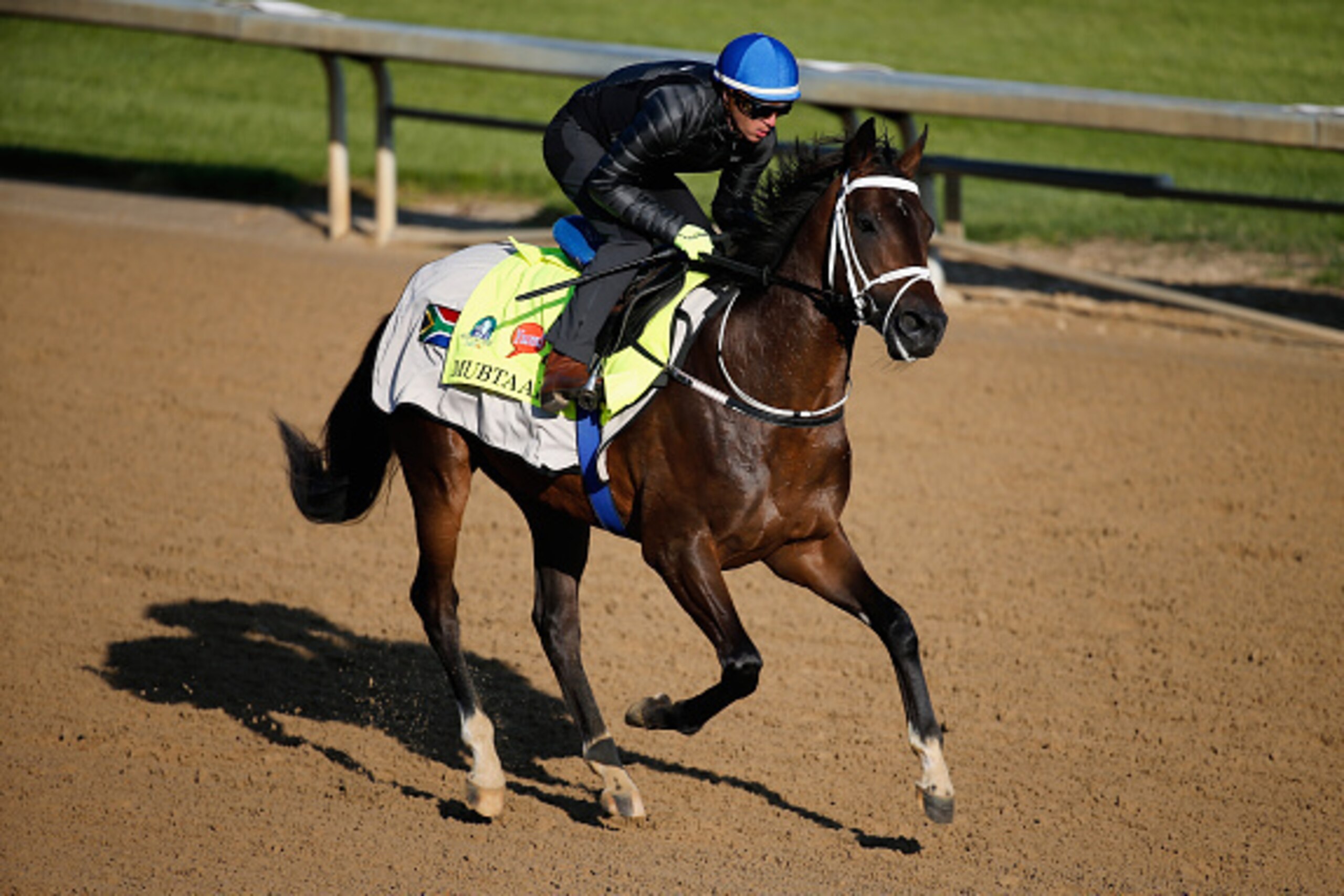 LOUISVILLE, KY - APRIL 29: Mubtaahij during morning training for the Kentucky Derby at Churchill Downs on April 29, 2015 in Louisville, Kentucky.  (Photo by Rob Carr/Getty Images)
