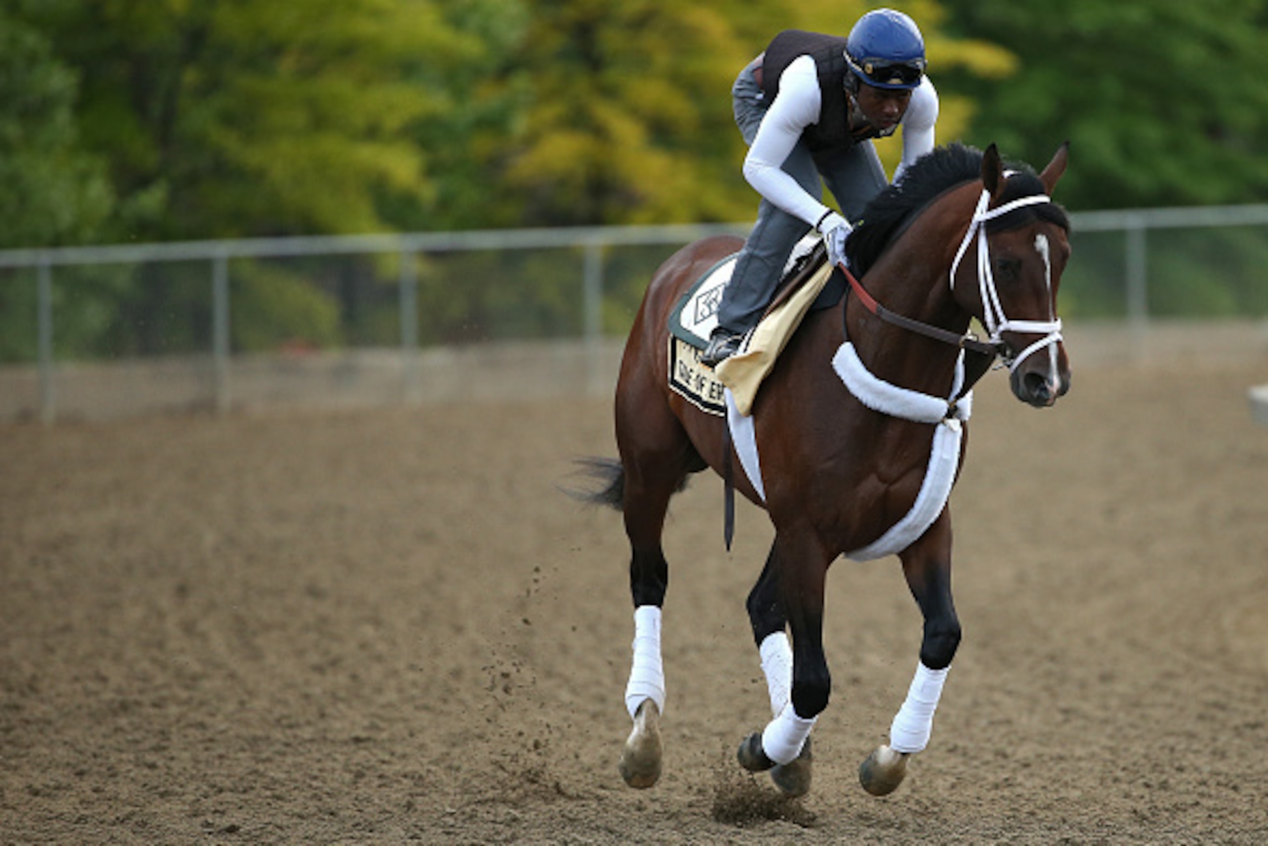 BALTIMORE, MD - MAY 15: Tale of Verve trains on the track for the 140th Preakness Stakes at Pimlico Race Course on May 15, 2015 in Baltimore, Maryland. (Photo by Patrick Smith/Getty Images)
