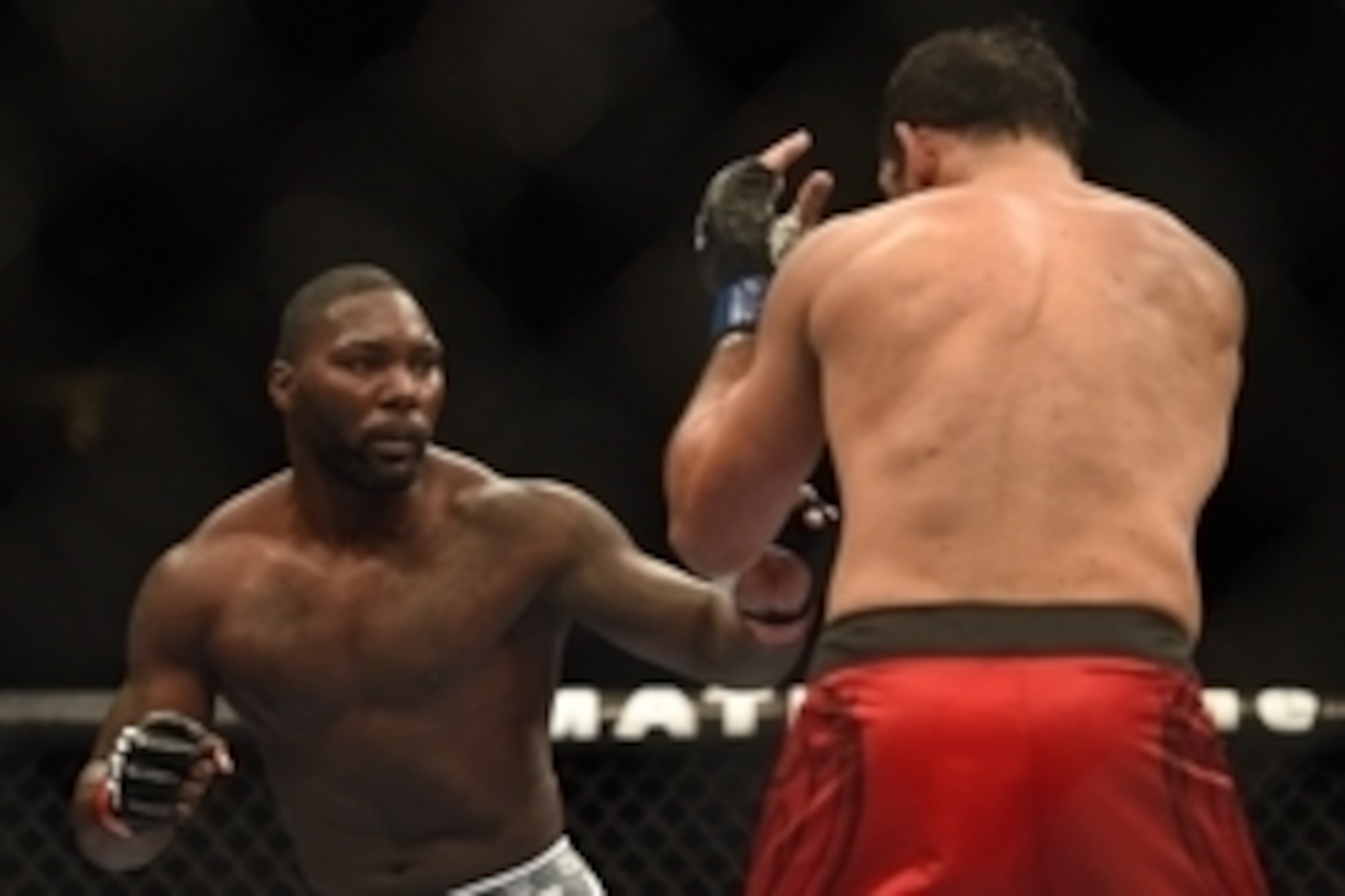 July 26, 2014; San Jose, CA, USA; Anthony Johnson (red gloves) fights Rogerio Nogueira (blue gloves) during the light heavyweight bout of the FOX UFC Saturday at SAP Center. Mandatory Credit: Kyle Terada-USA TODAY Sports
