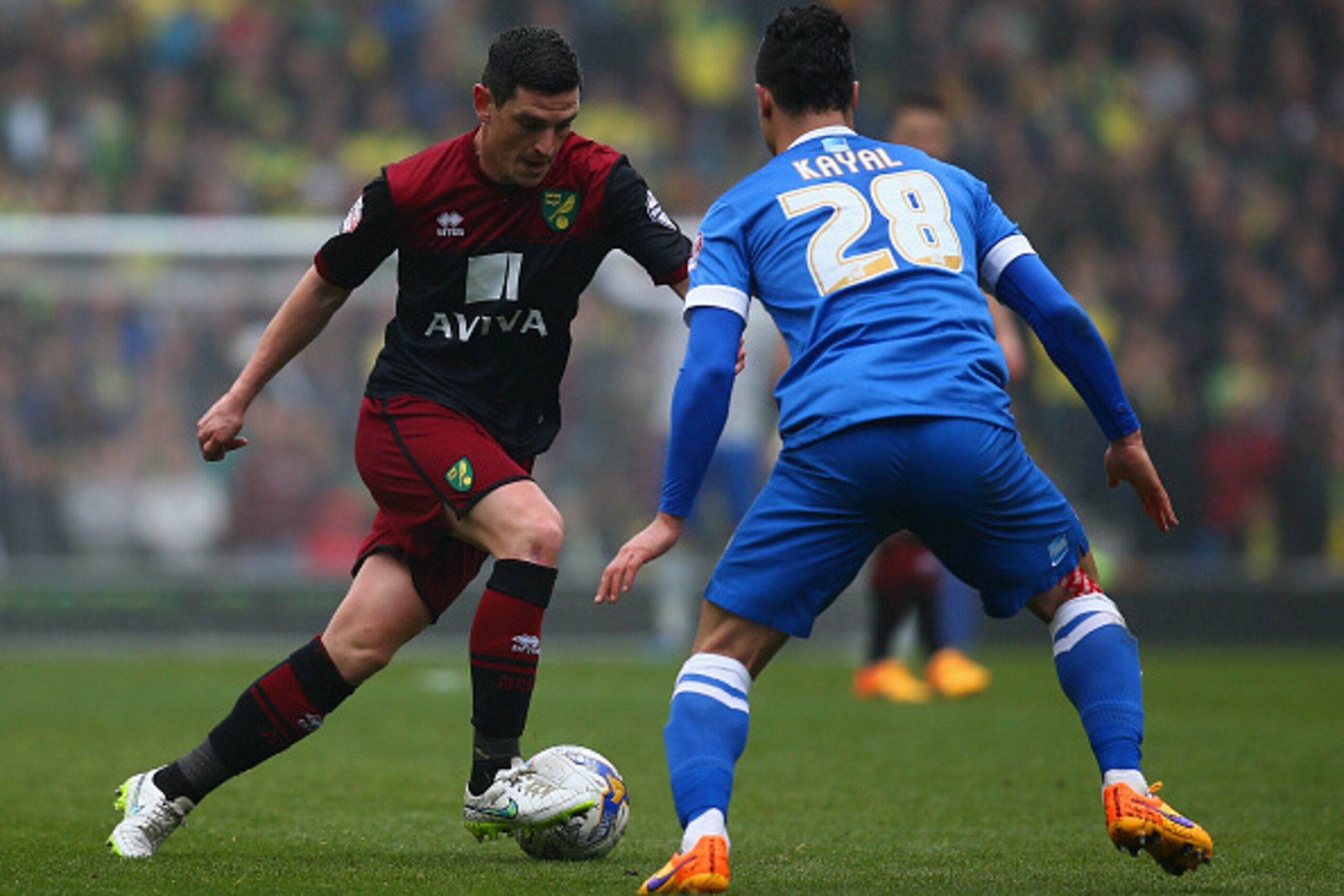 BRIGHTON, ENGLAND - APRIL 03:  Biram Kayal of Brighton closes down Graham Dorrans of Norwich  during the Sky Bet Championship match between Brighton & Hove Albion and Norwich City at Amex Stadium on April 3, 2015 in Brighton, England.  (Photo by Charlie C