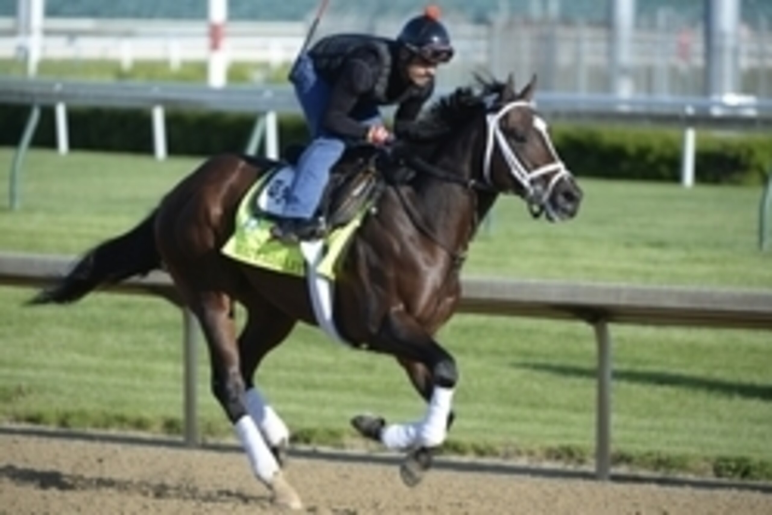 Apr 28, 2015; Louisville, KY, USA; An exercise rider works out Kentucky Derby hopeful Materiality at Churchill Downs. Mandatory Credit: Jamie Rhodes-USA TODAY Sports Apr 28, 2015; Louisville, KY, USA; An exercise rider works out Kentucky Derby hopeful Materiality at Churchill Downs. Mandatory Credit: Jamie Rhodes-USA TODAY Sports