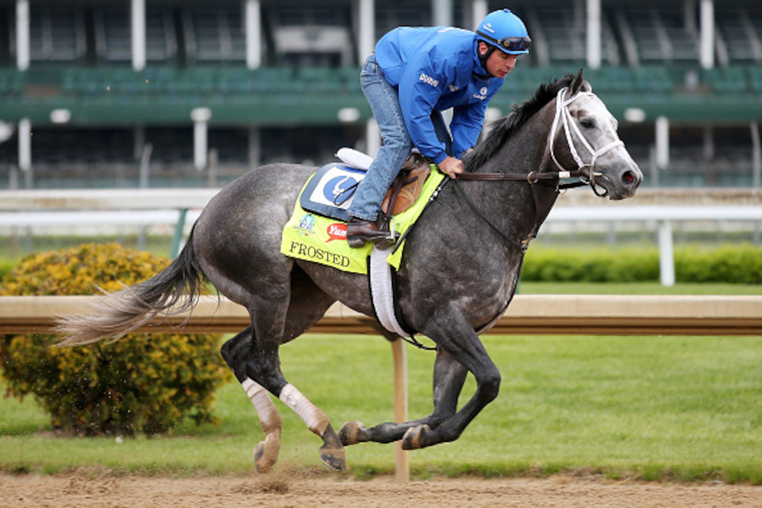 LOUISVILLE, KY - APRIL 30:  Frosted goes over the track during morning training for the Kentucky Derby at Churchill Downs on April 30, 2015 in Louisville, Kentucky.  (Photo by Chris Graythen/Getty Images)
